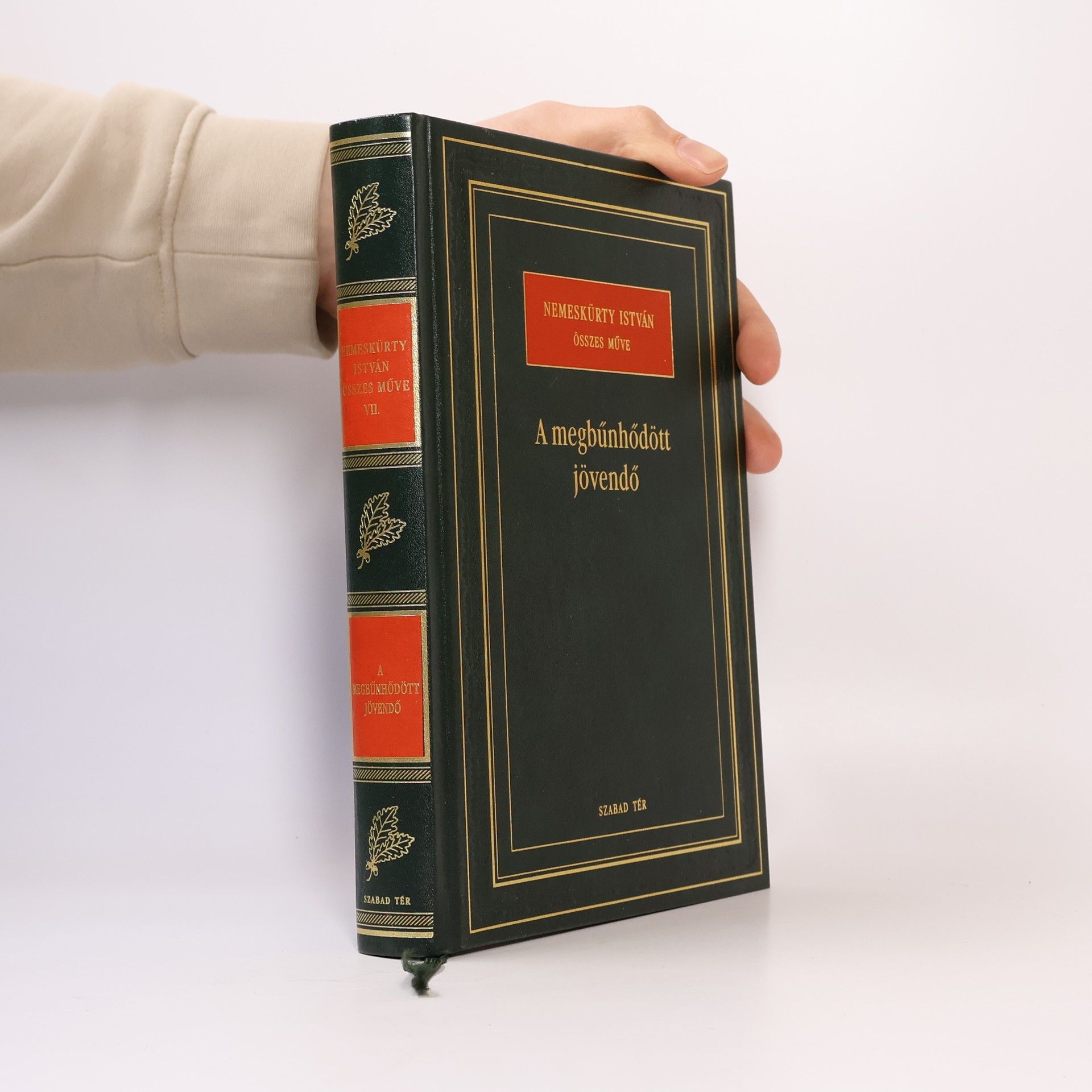 A megbűnhődött jövendő