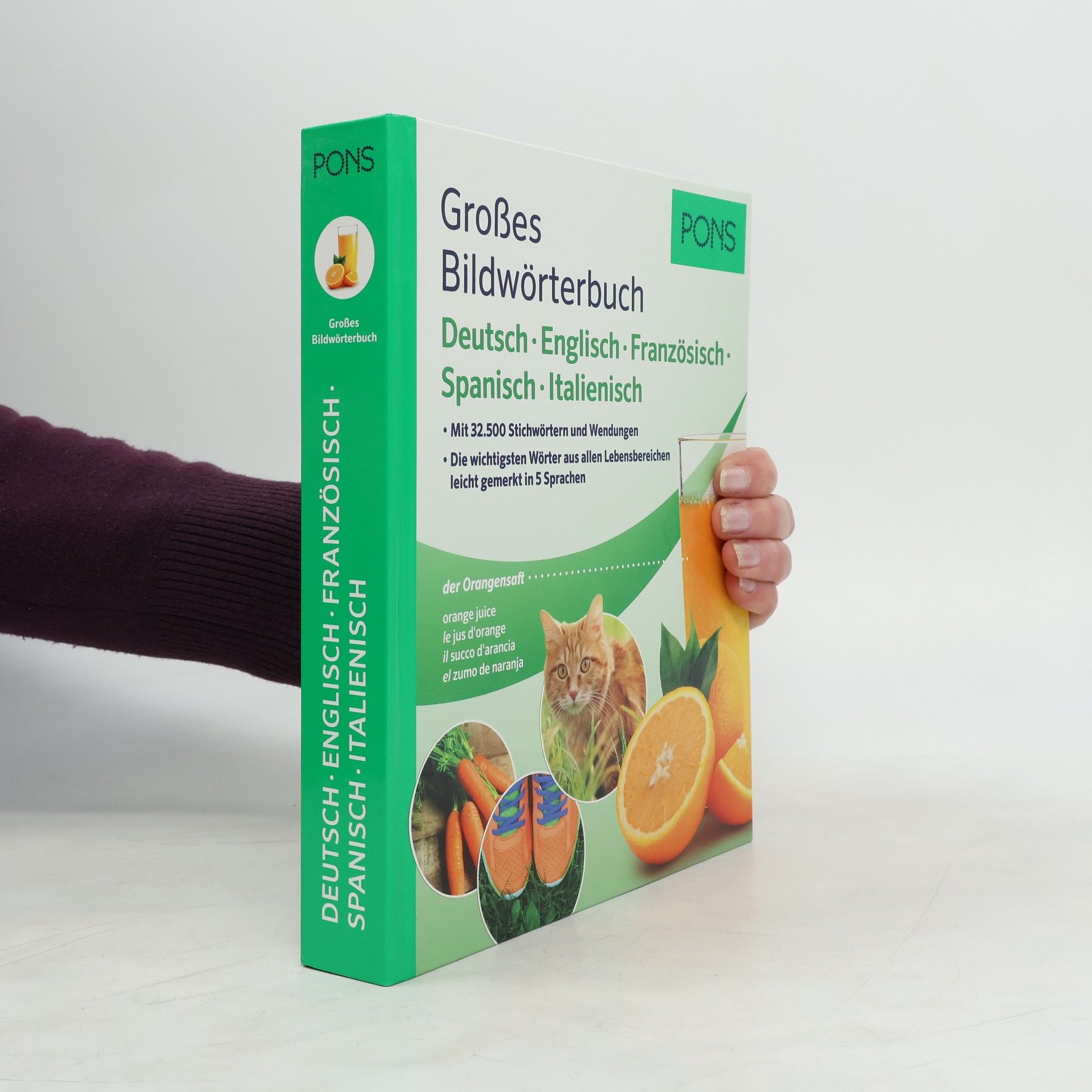 Großes Bildwörterbuch Deutsch, Englisch, Französisch, Spanisch, Italienisch