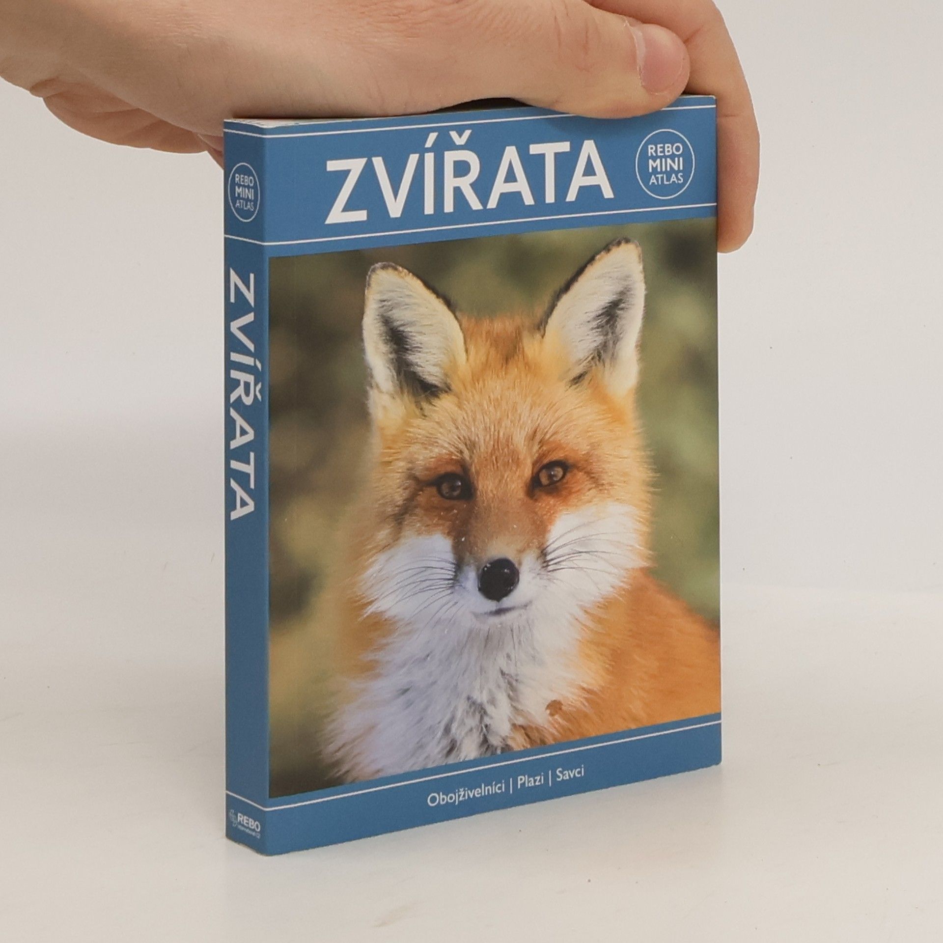 Marianne Taylor Zvířata