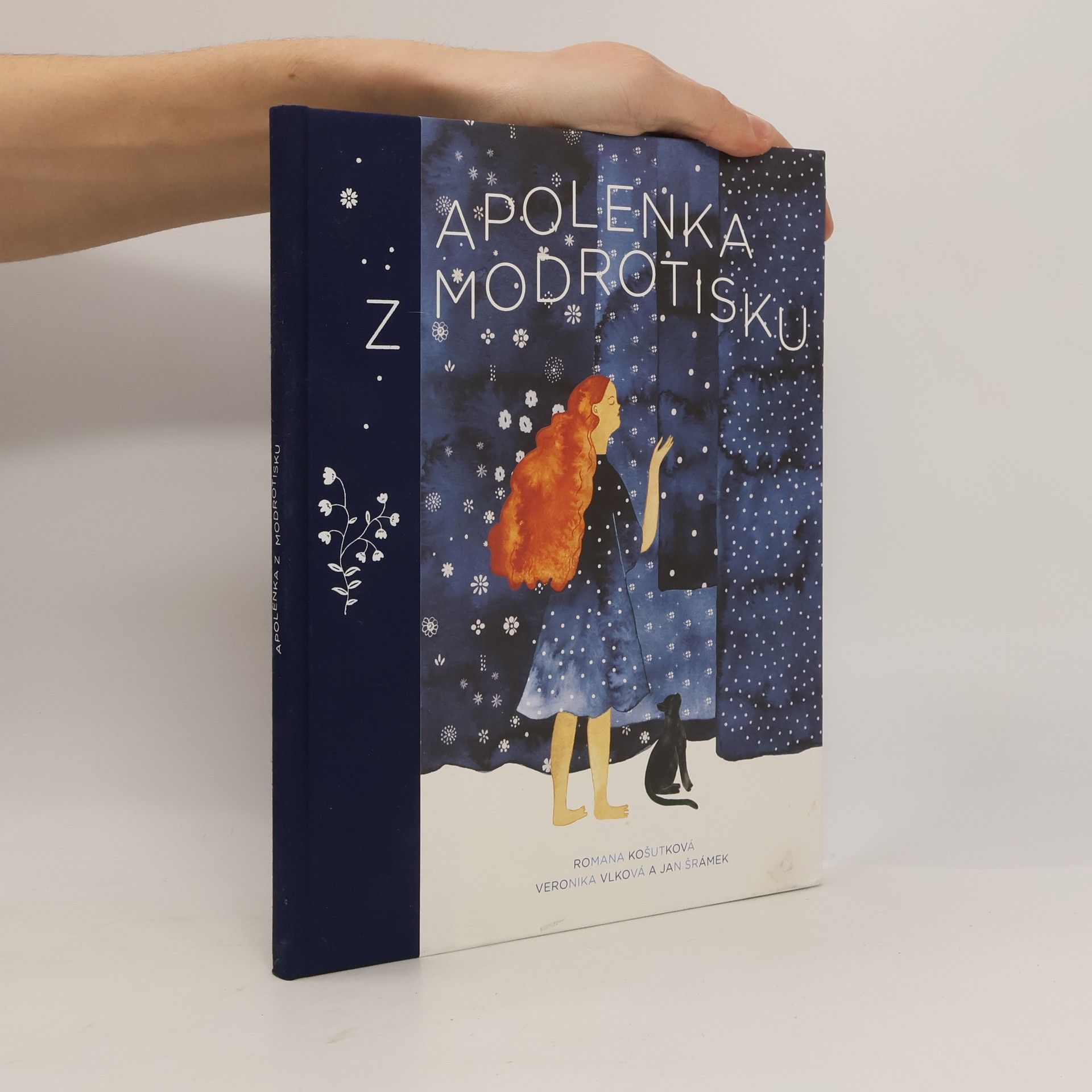 Romana Košutková Apolenka z modrotisku