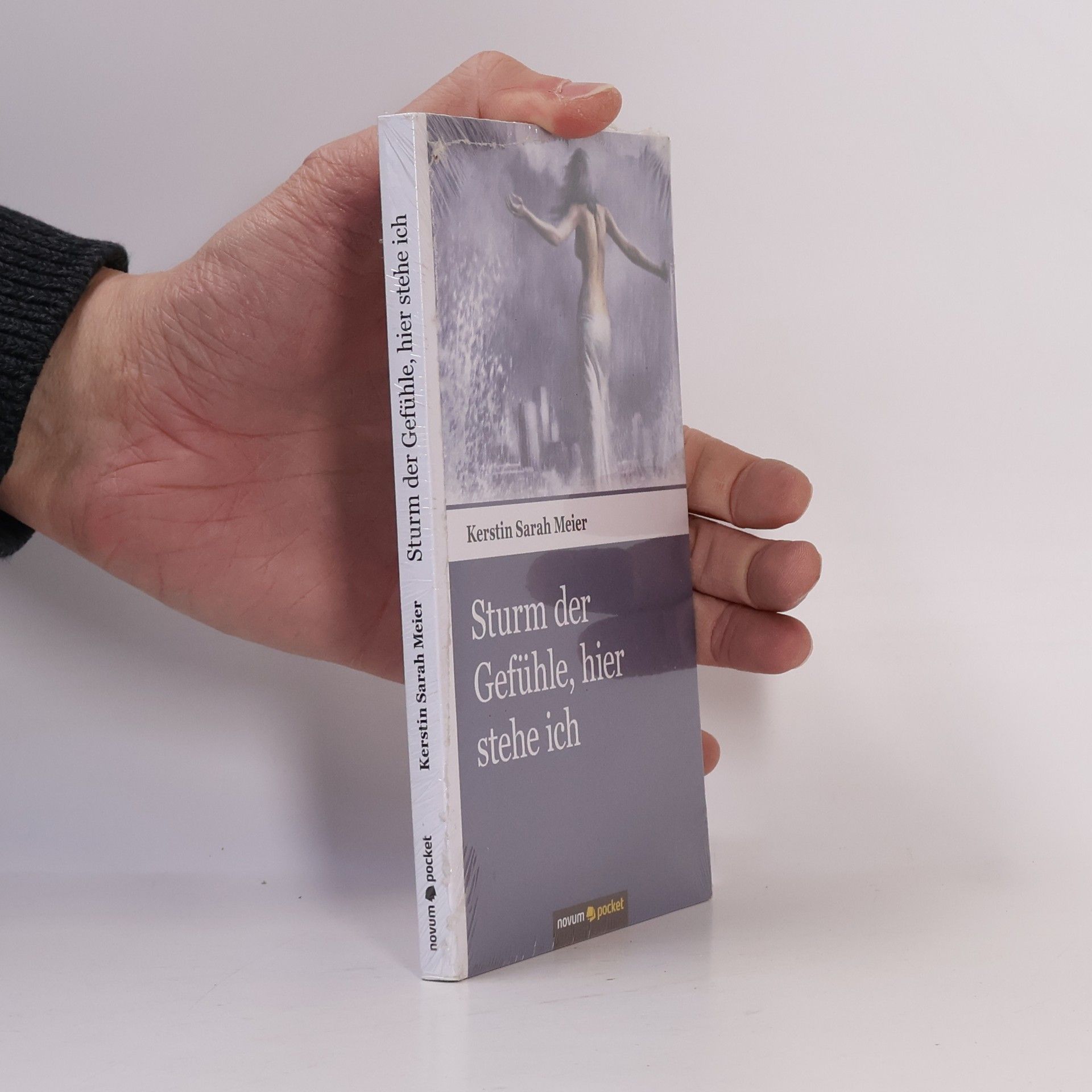 Kerstin Sarah Meier Sturm der Gefühle, hier stehe ich