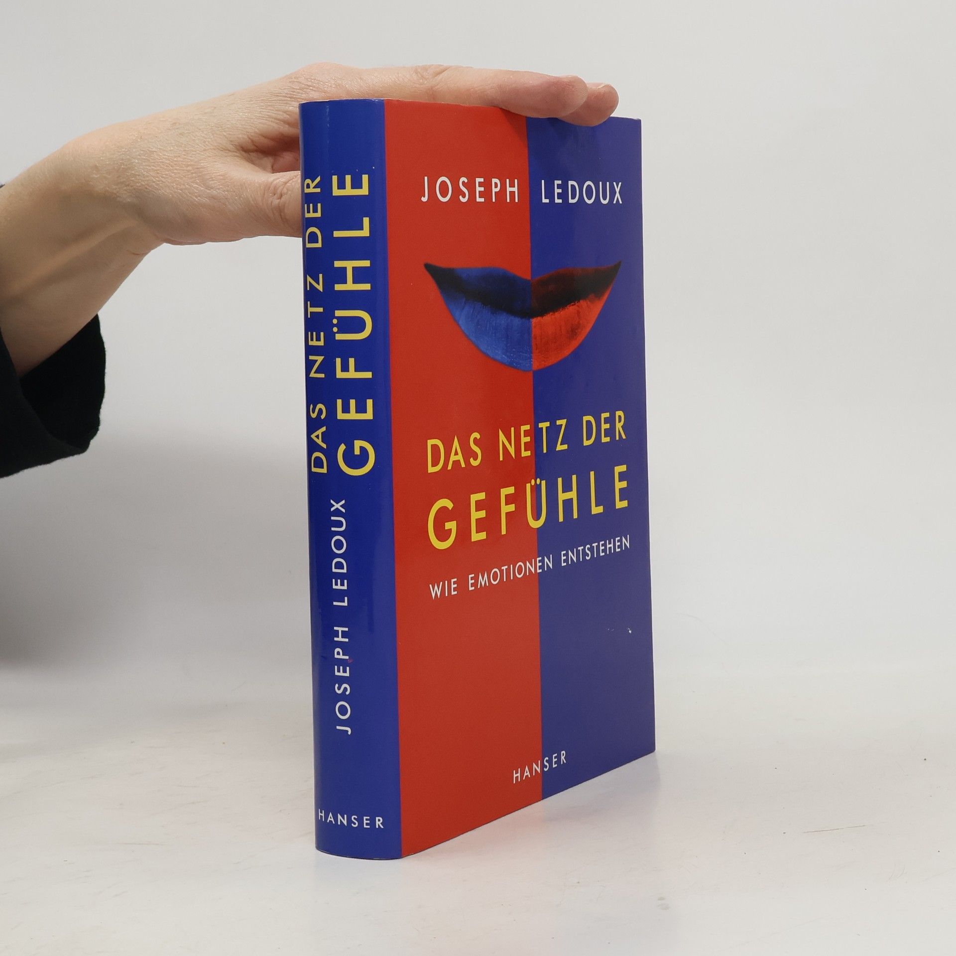 Joseph Ledoux Das Netz der Gefühle