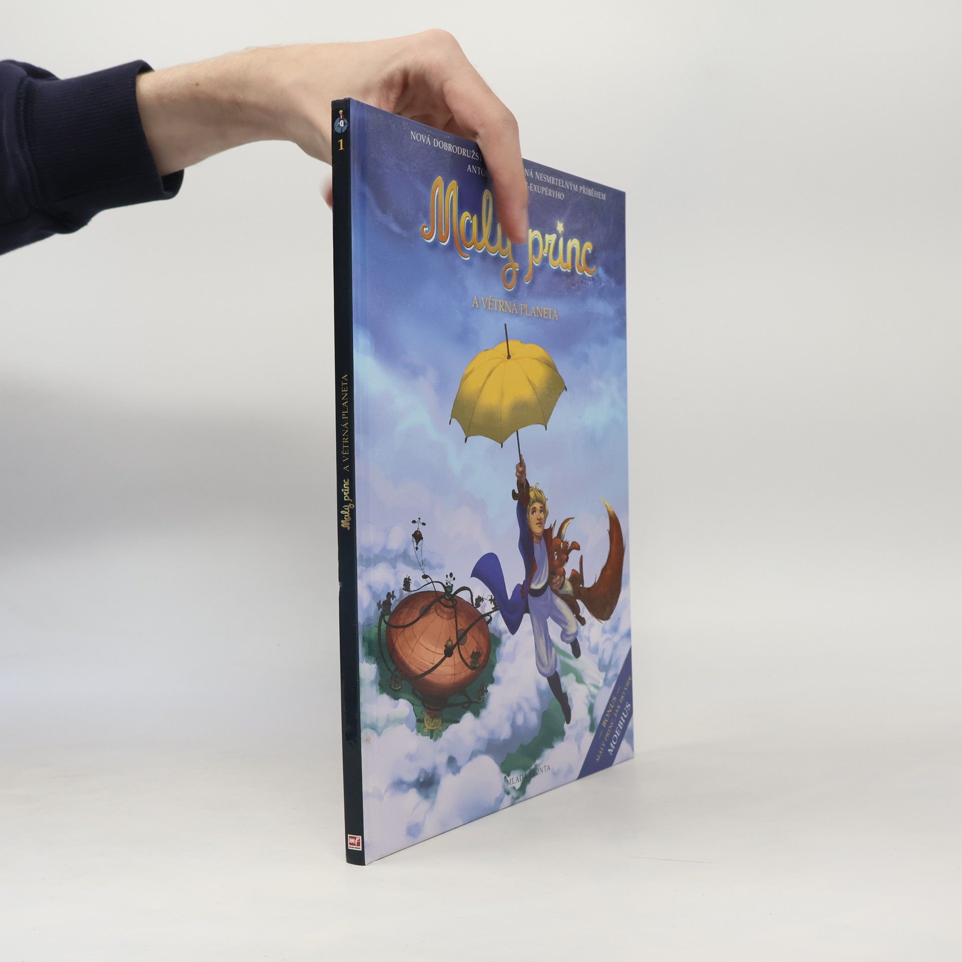 Autorenkollektiv Malý princ a Větrná planeta
