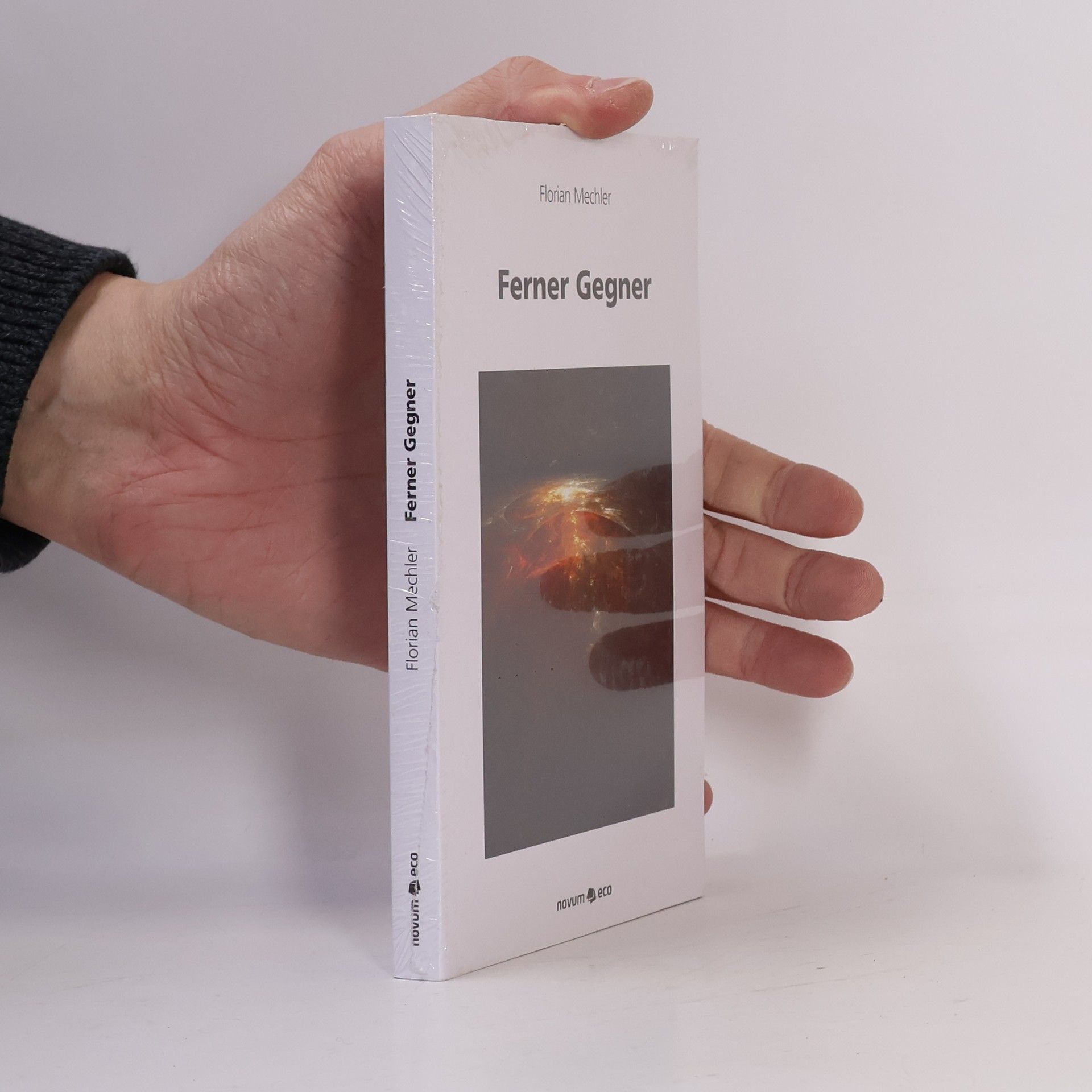 Florian Mechler Ferner Gegner