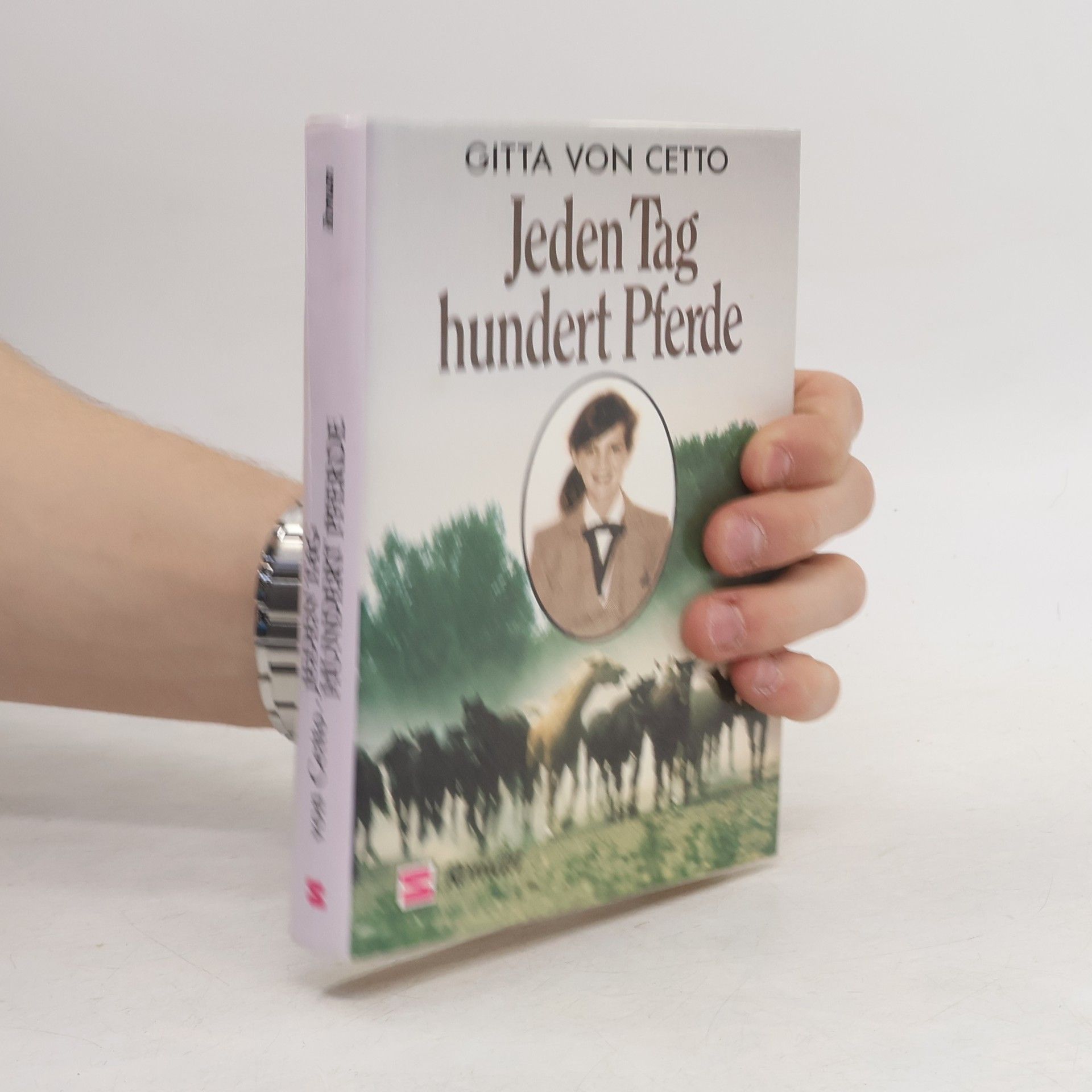 Jeden Tag hundert Pferde. Roman