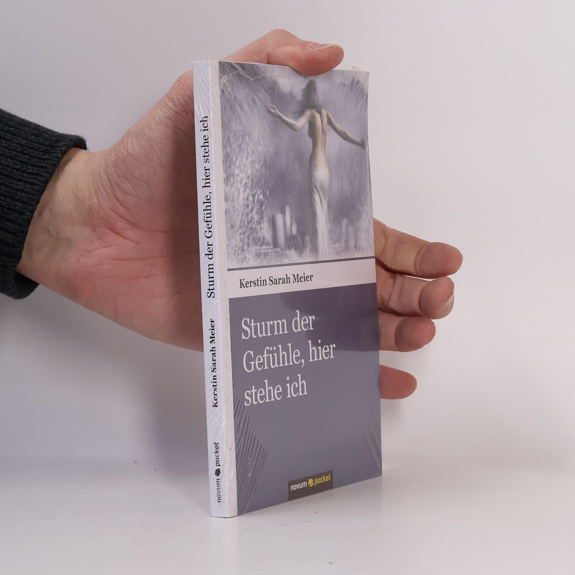Kerstin Sarah Meier Sturm der Gefühle, hier stehe ich