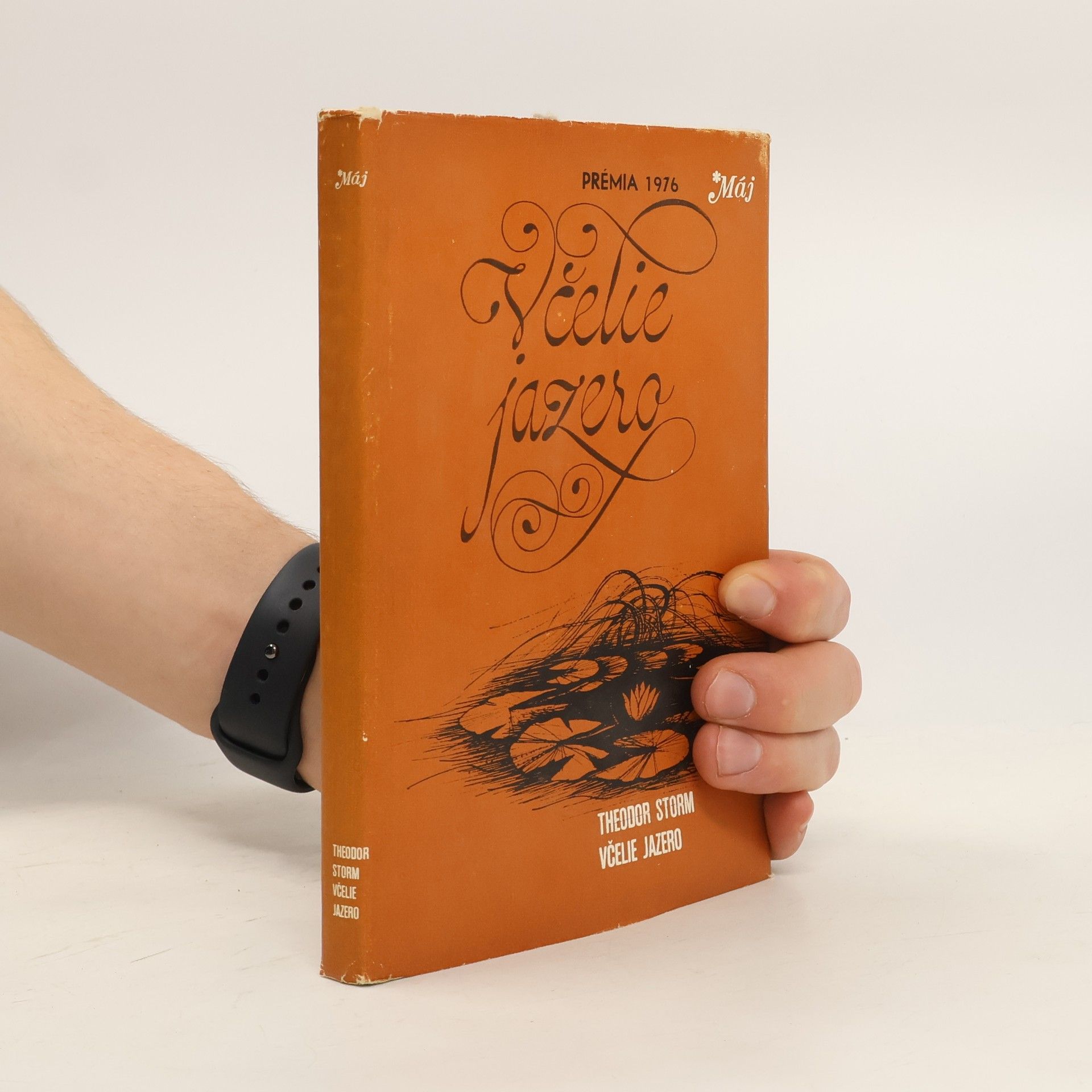 Hans Theodor Woldsen Storm Včelie jazero