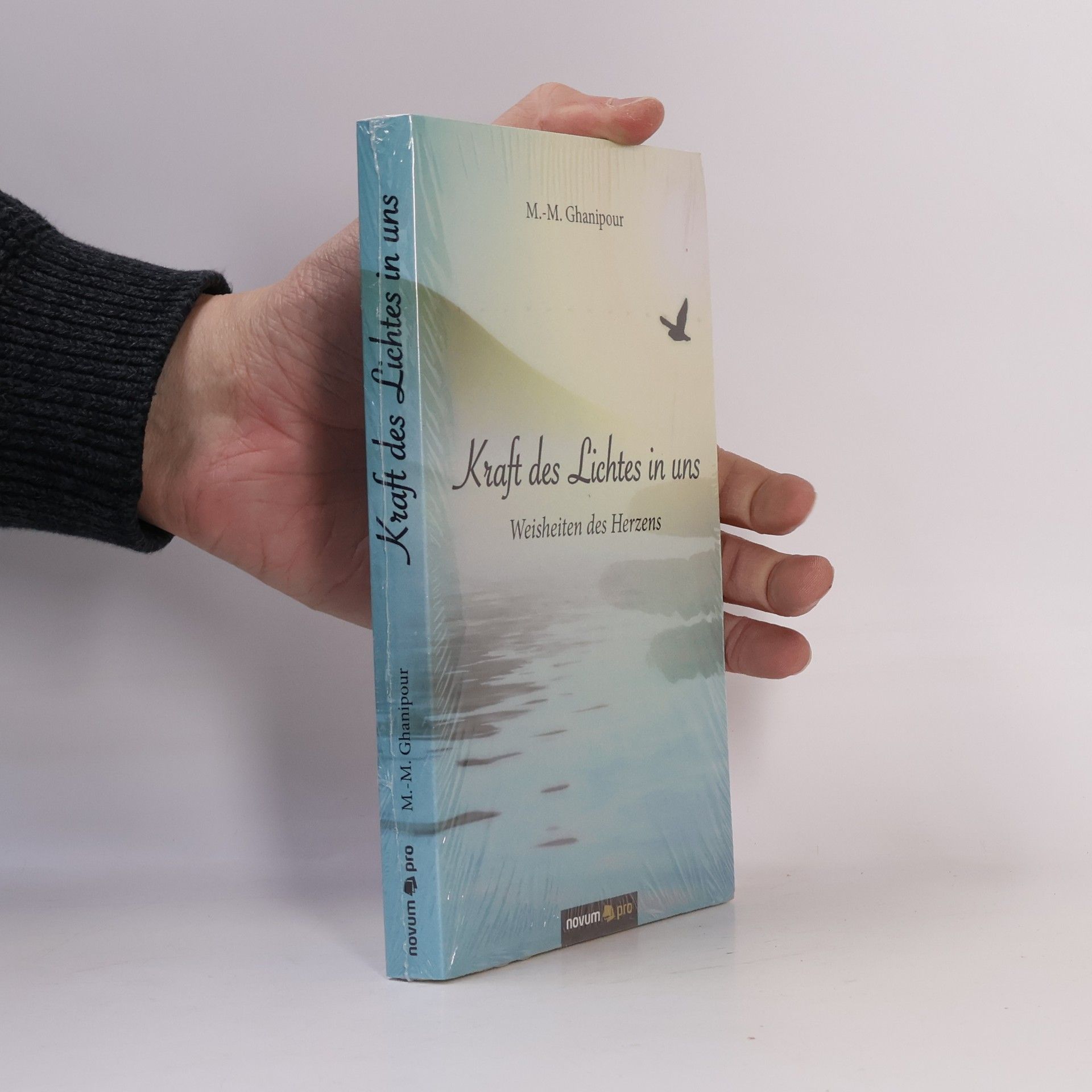 Mohammad-Mehdi Ghanipour Kraft des Lichtes in uns