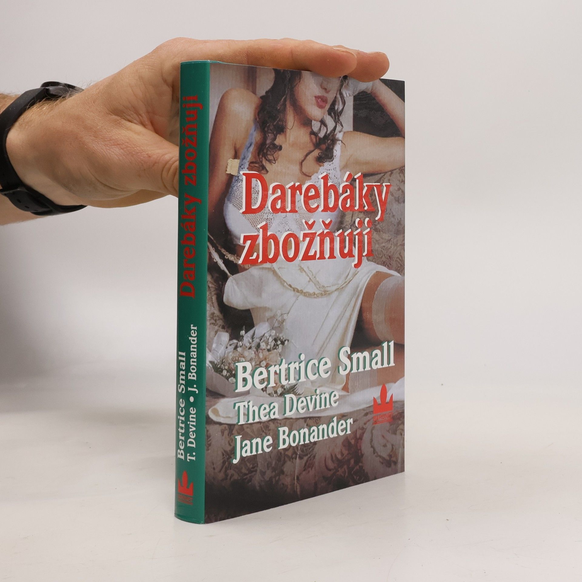 Bertrice Small Darebáky zbožnuji