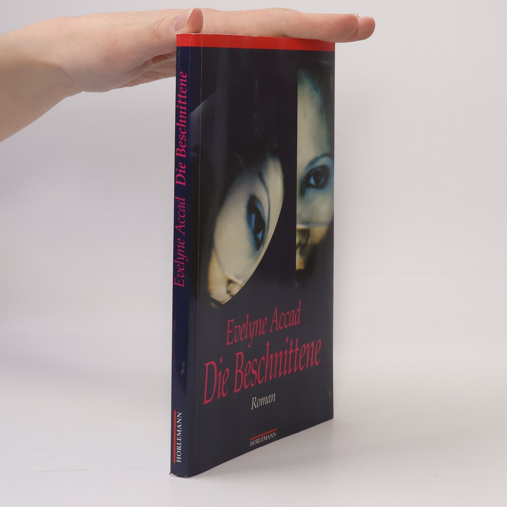 Evelyne Accad Die Beschnittene