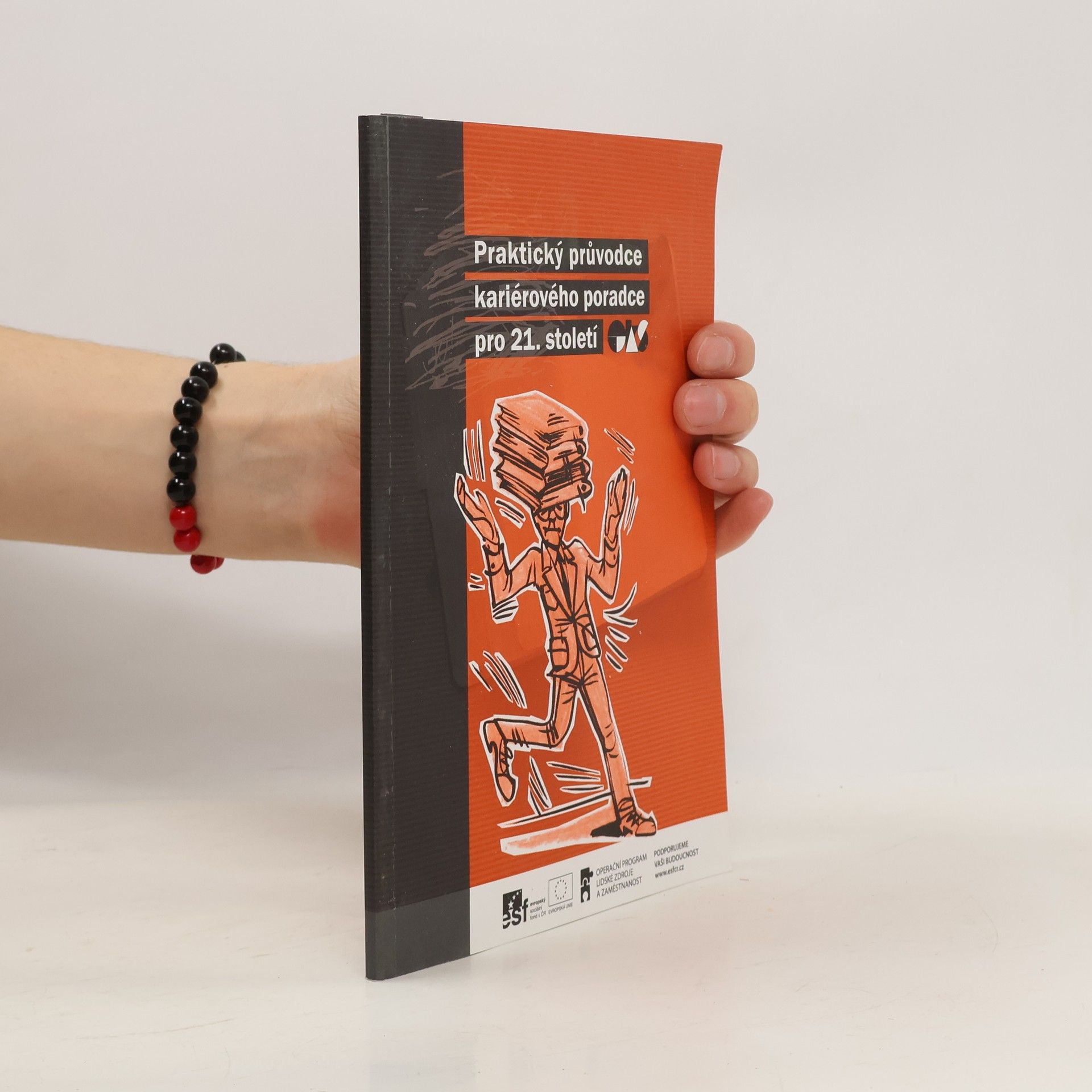 Helena Košťálová Praktický průvodce kariérového poradce pro 21. století