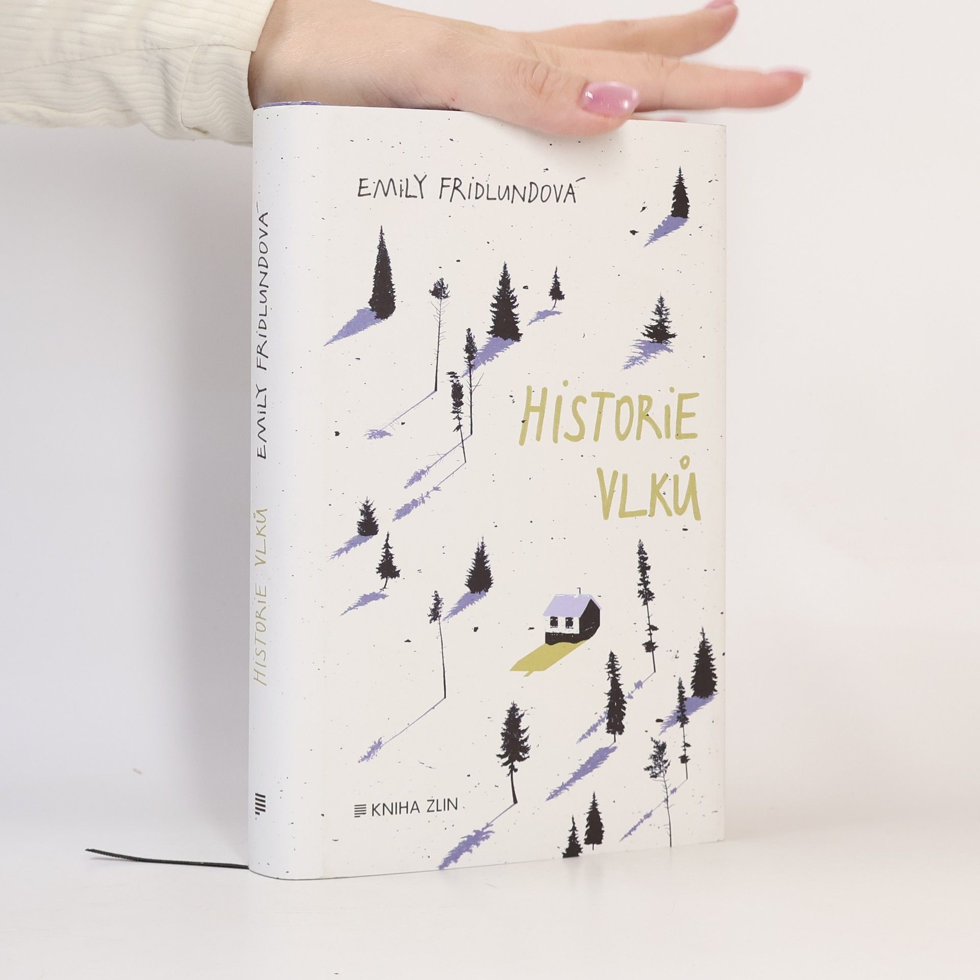 Emily Fridlund Historie vlků