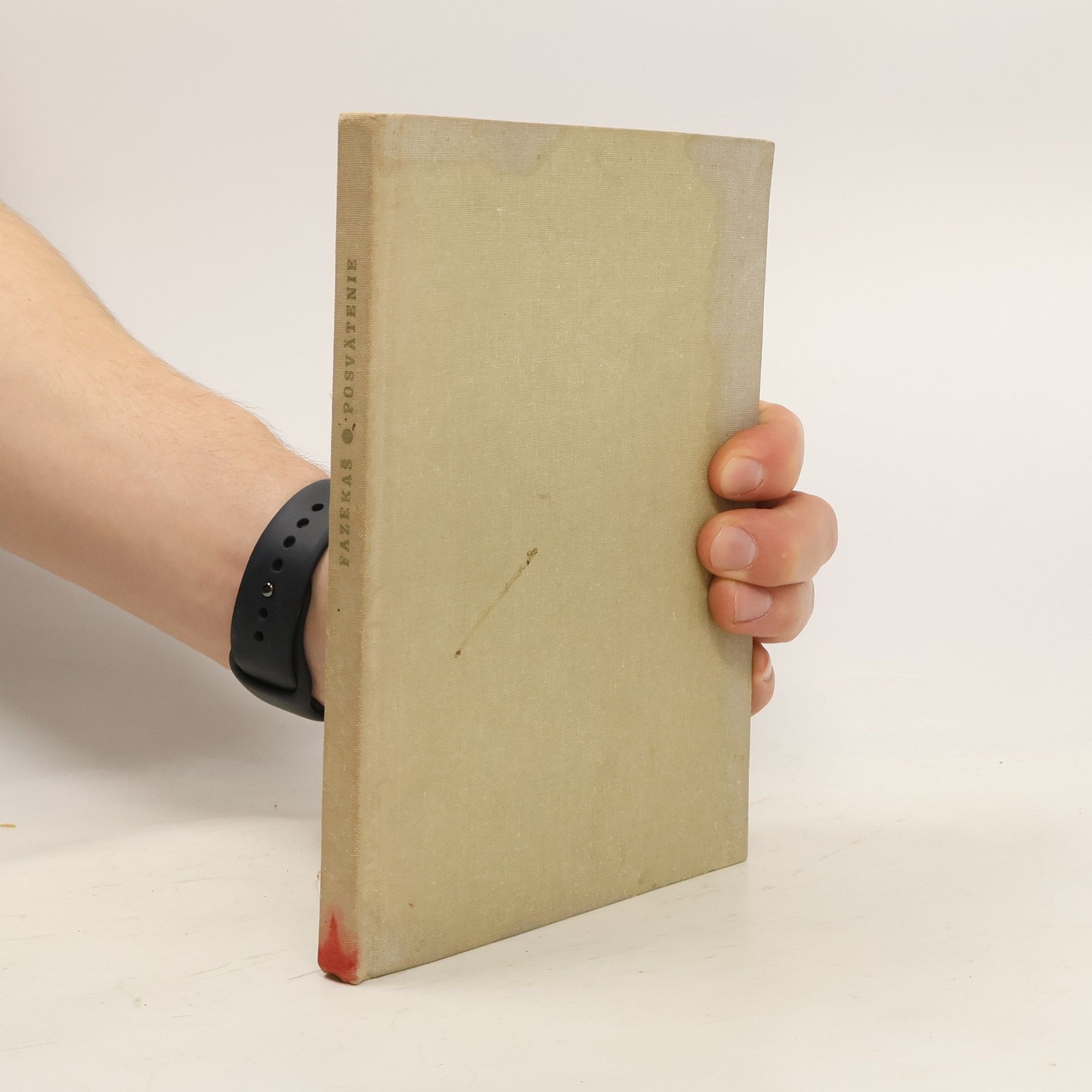 Ľudovít Fazekaš Posvätenie ako bohoslužba všedného dňa