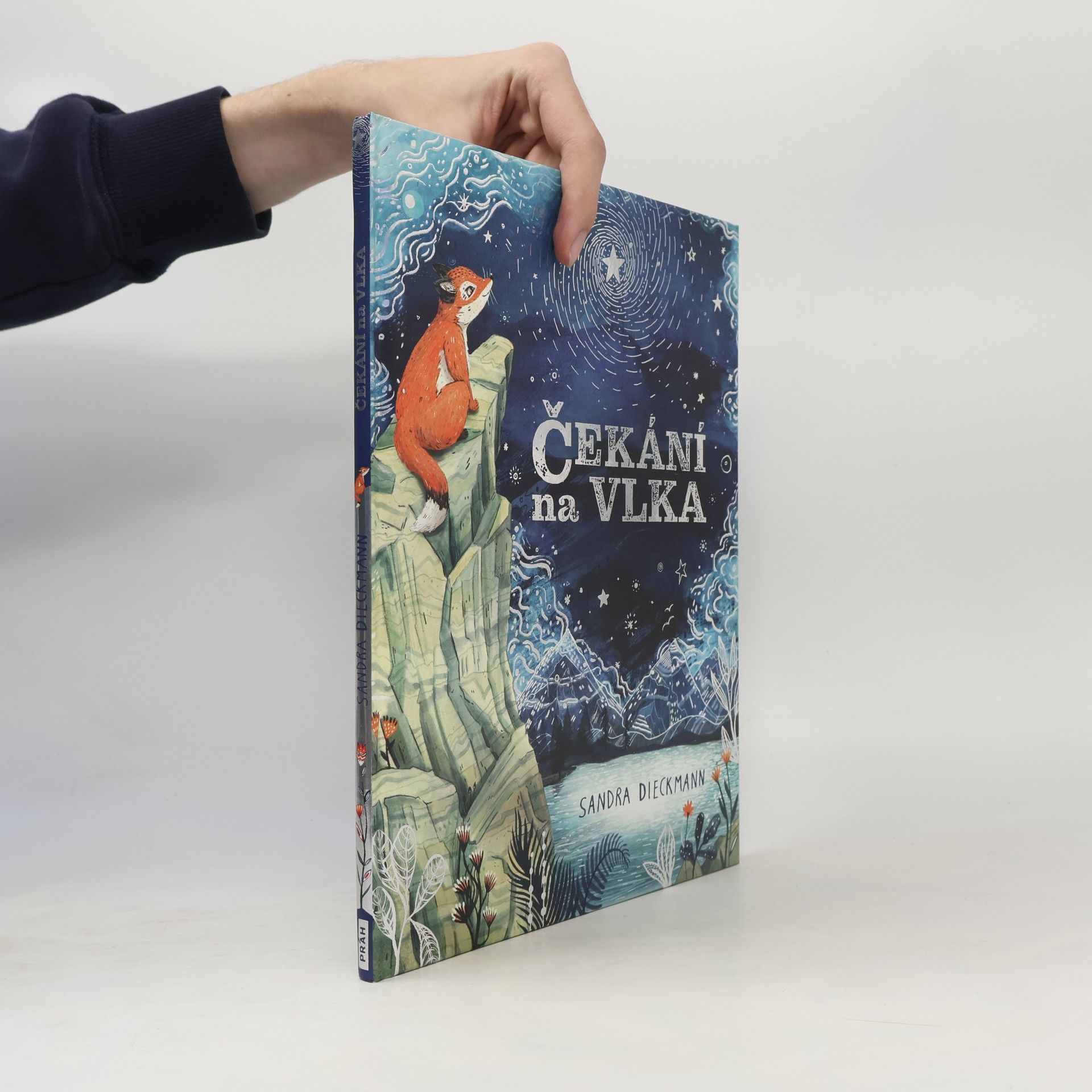 Sandra Dieckmann Čekání na Vlka