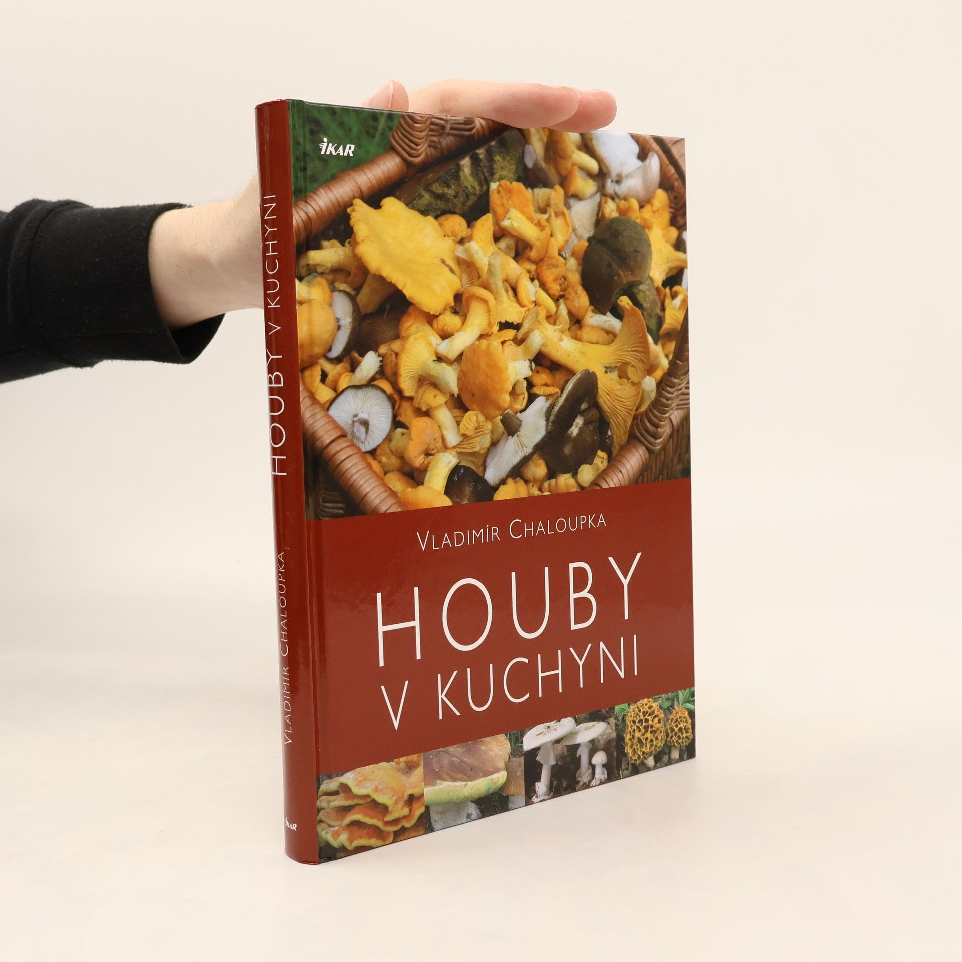 Vladimír Chaloupka Houby v kuchyni
