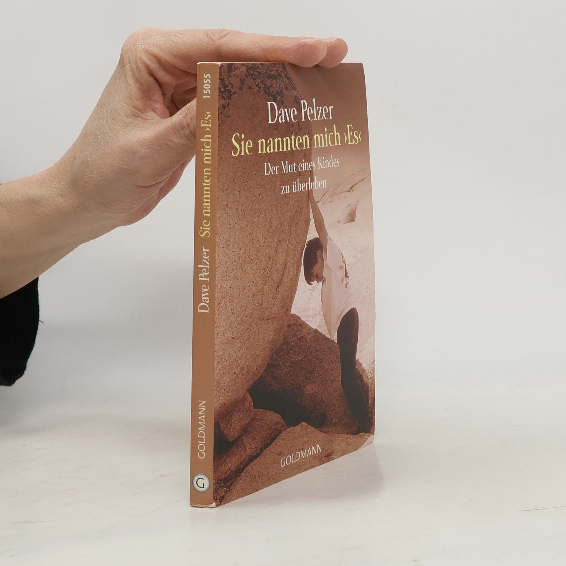 David J. Pelzer Sie nannten mich "Es"