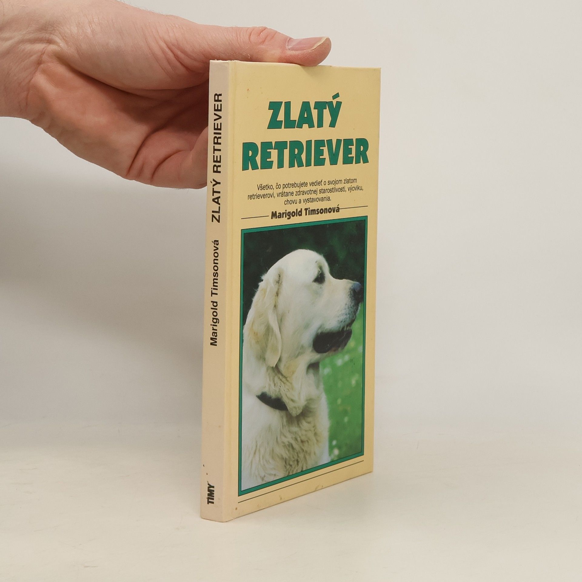 Marigold Timson Zlatý retriever