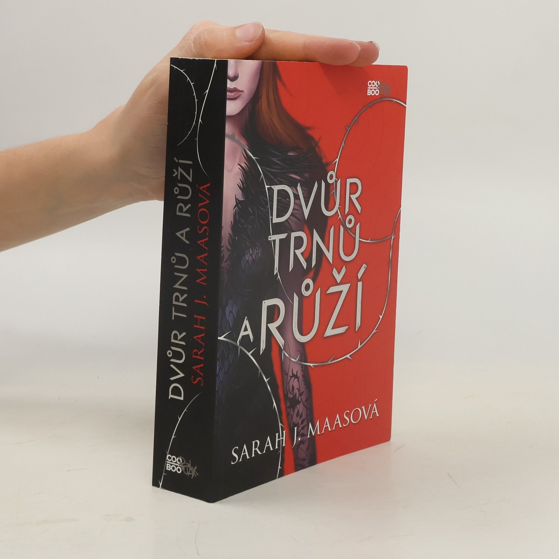 Sarah J. Maas Dvůr trnů a růží