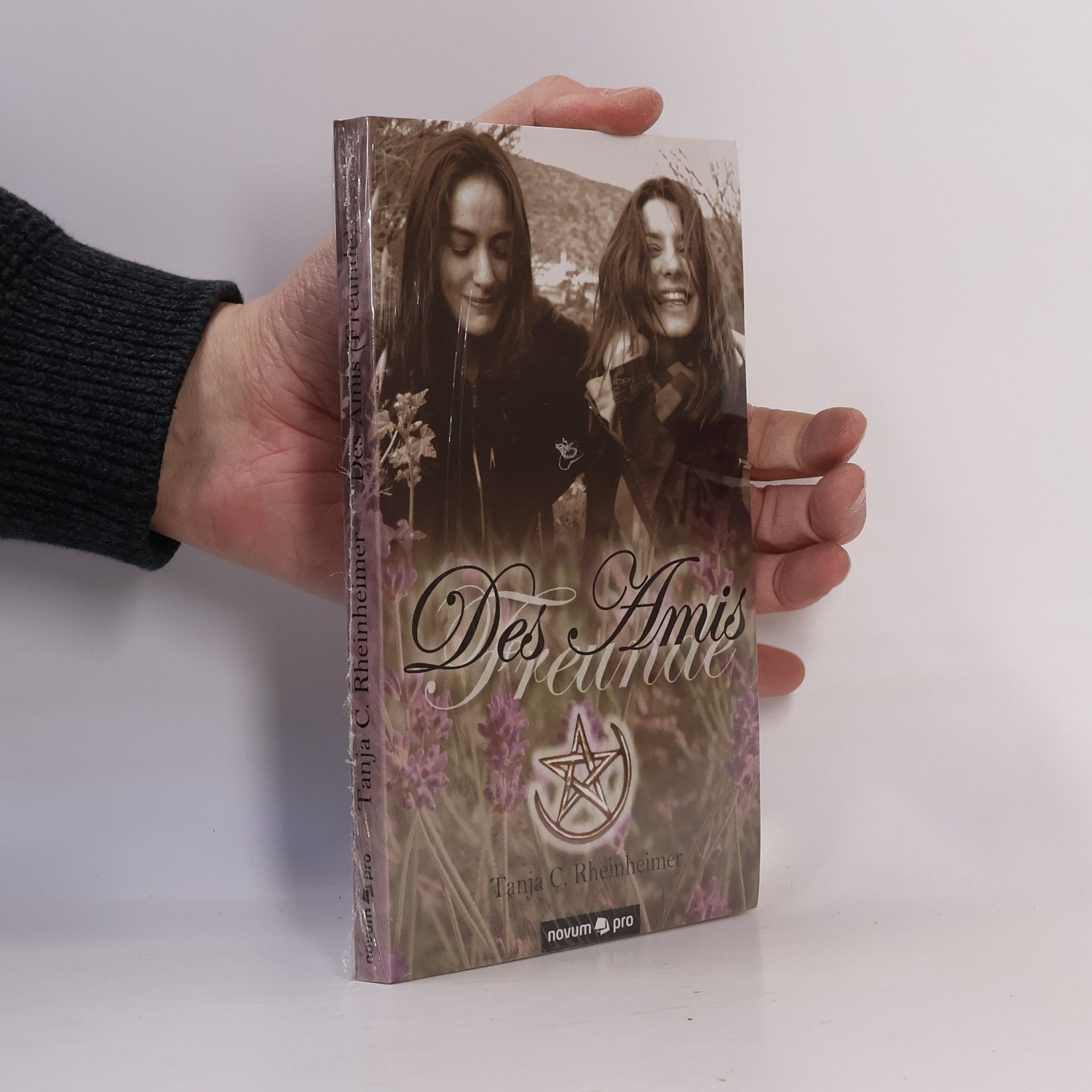 Tanja C. Rheinheimer Des Amis (Freunde)