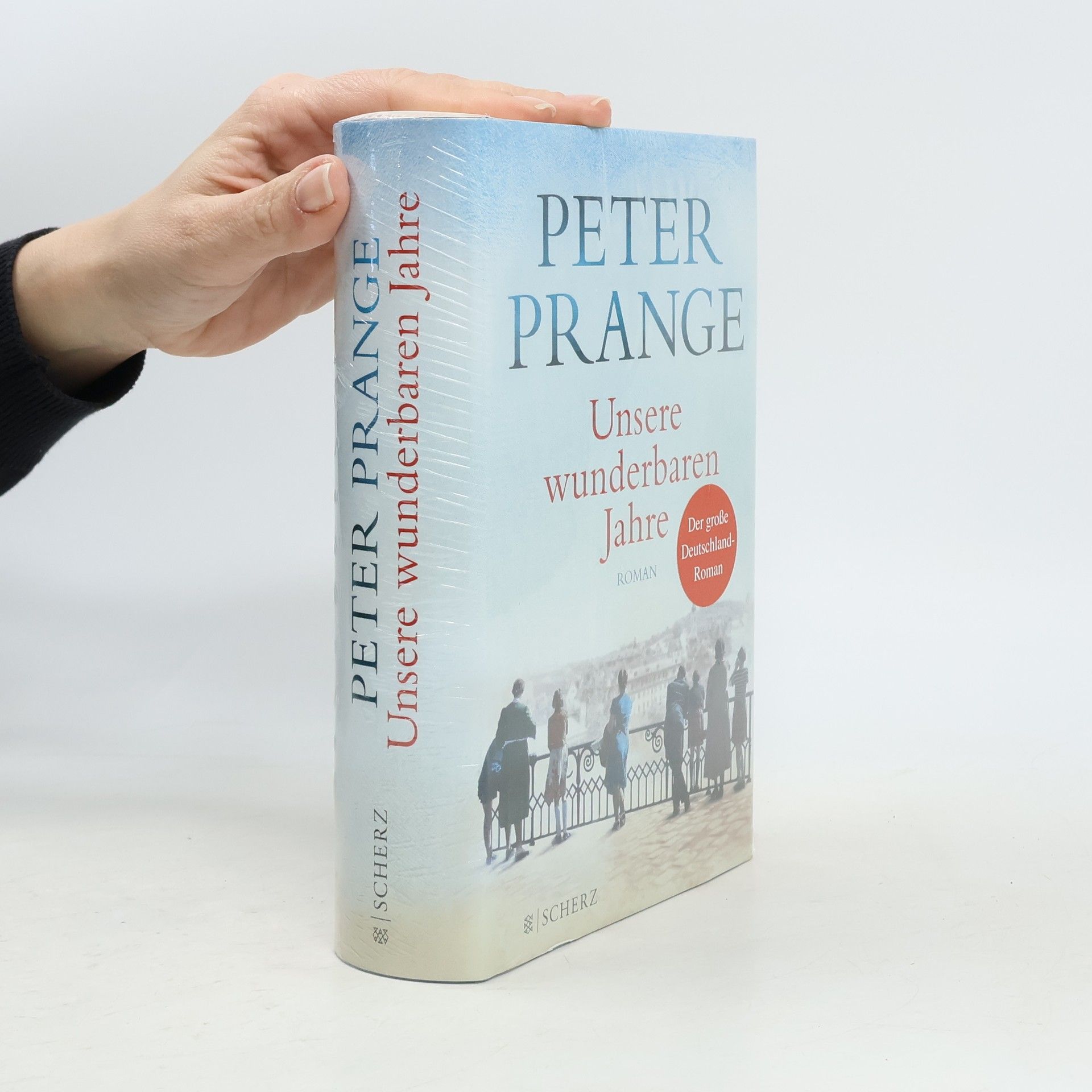 Peter Prange Unsere wunderbaren Jahre