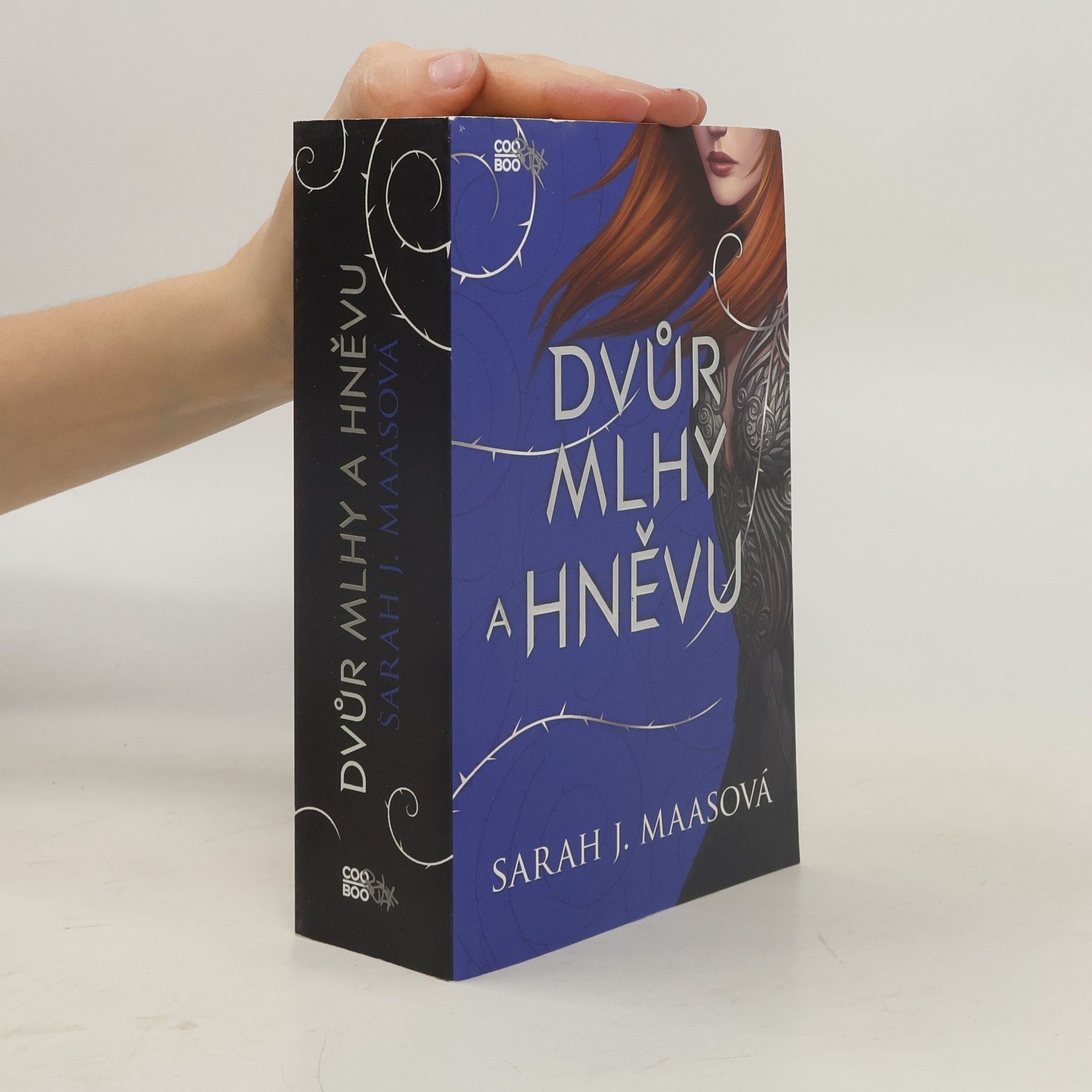 Sarah J. Maas Dvůr mlhy a hněvu