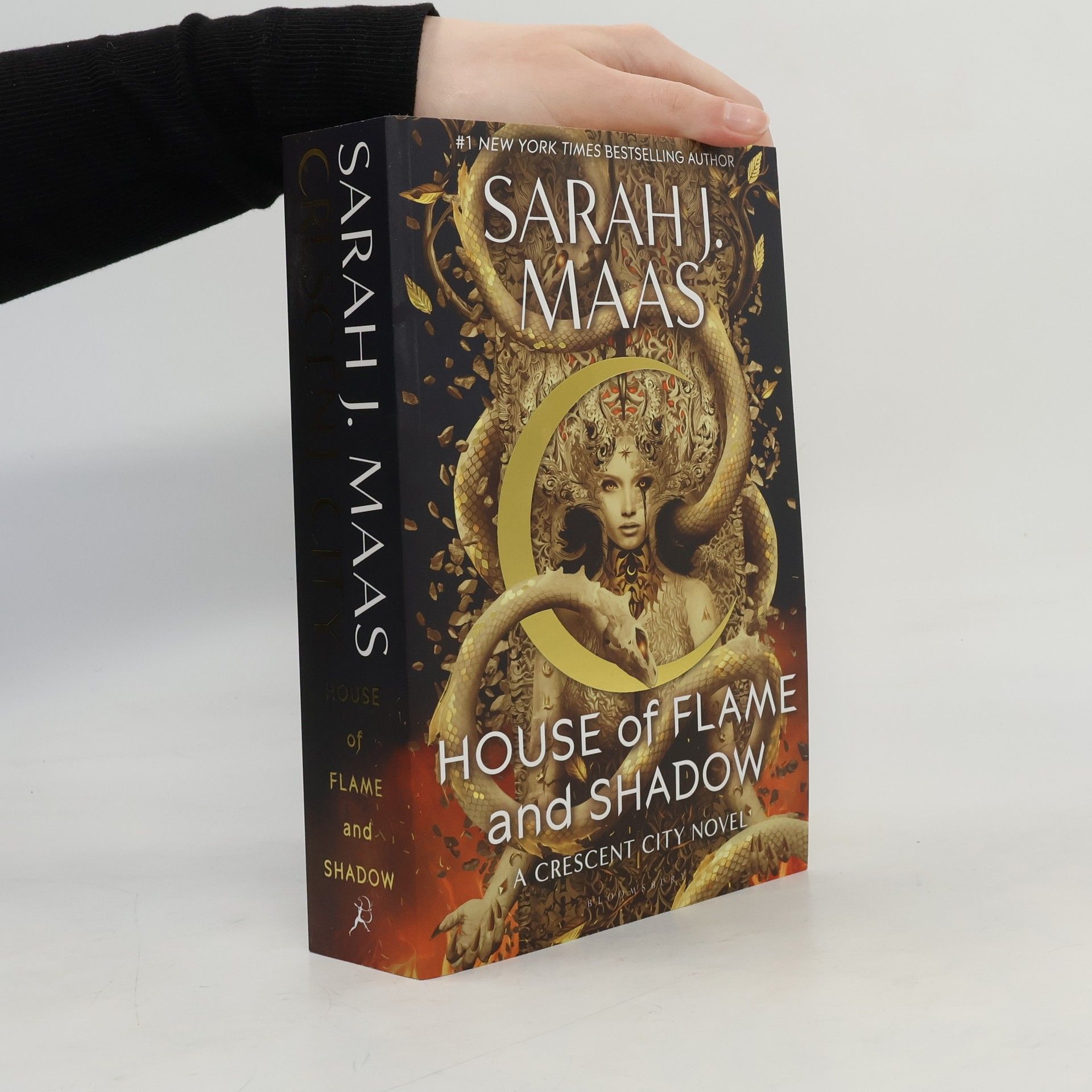 Sarah J. Maas House of Flame and Shadow