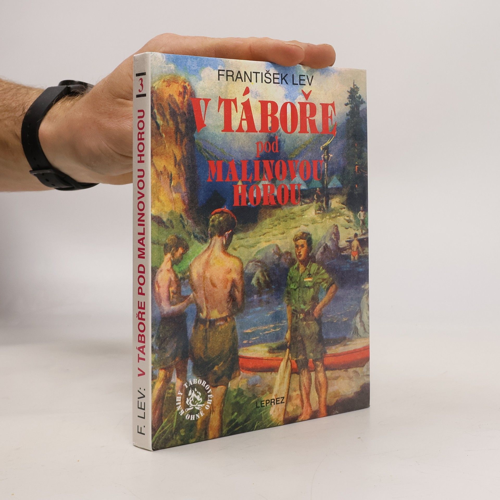 V táboře pod Malinovou horou