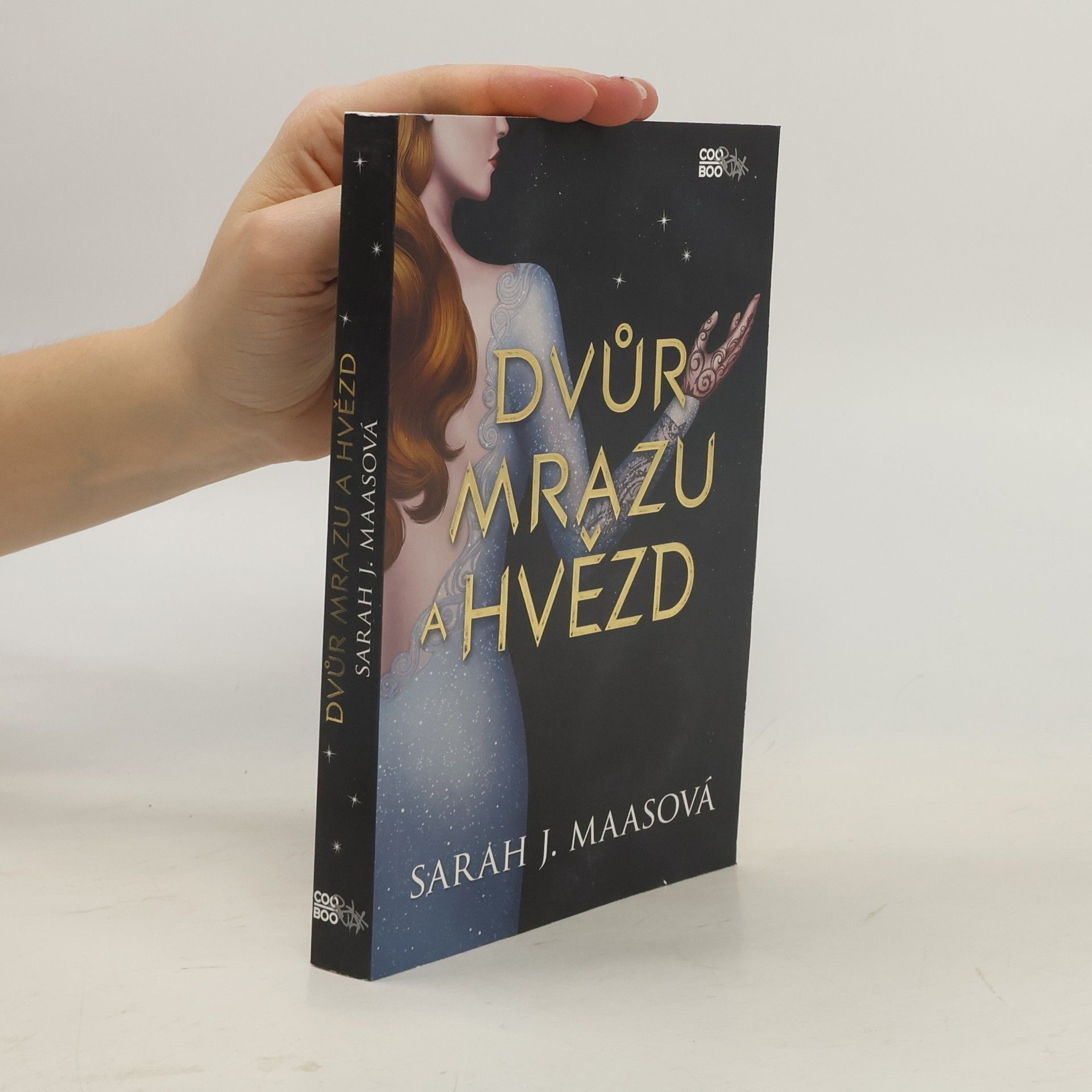 Sarah J. Maas Dvůr mrazu a hvězd