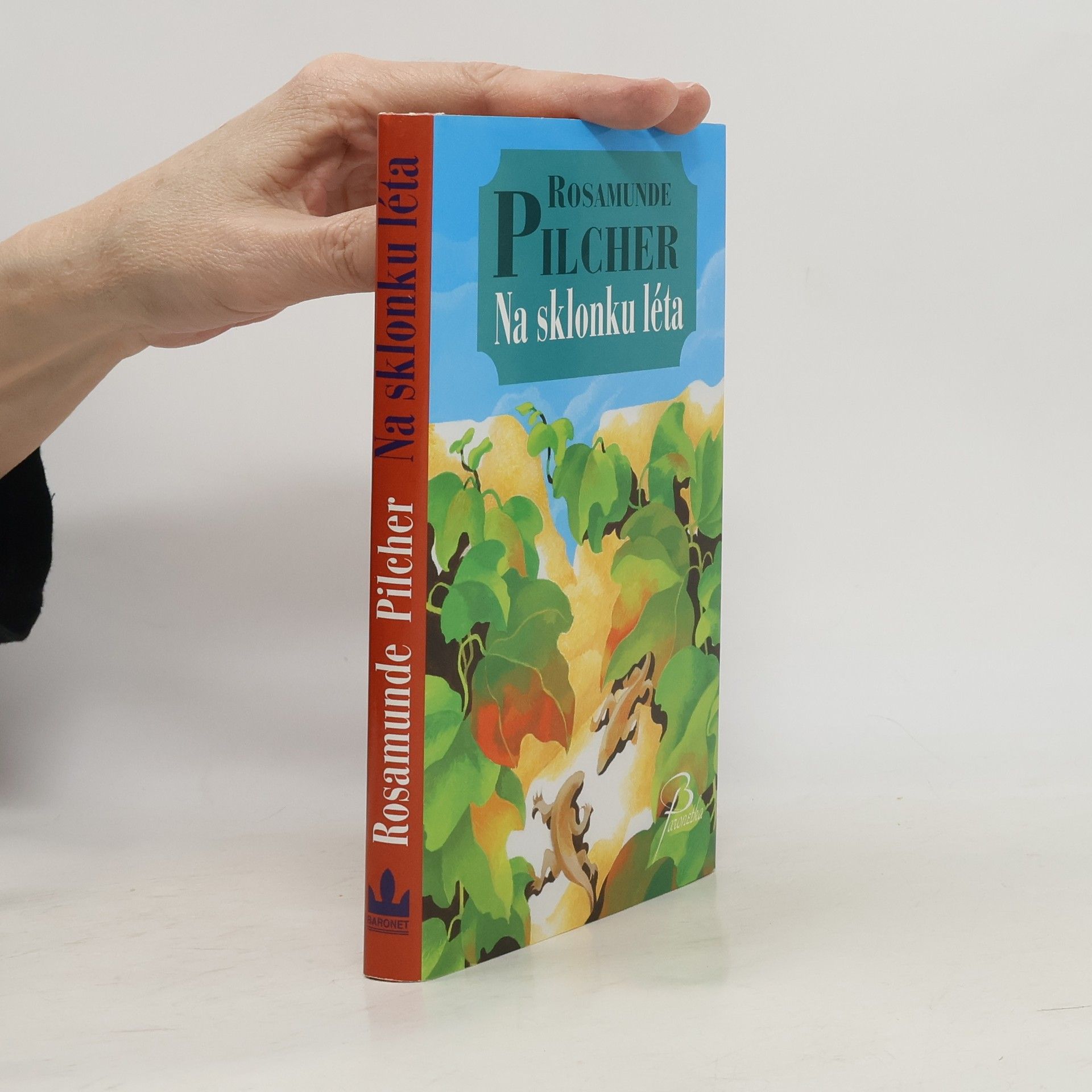 Rosamunde Pilcher Na sklonku léta