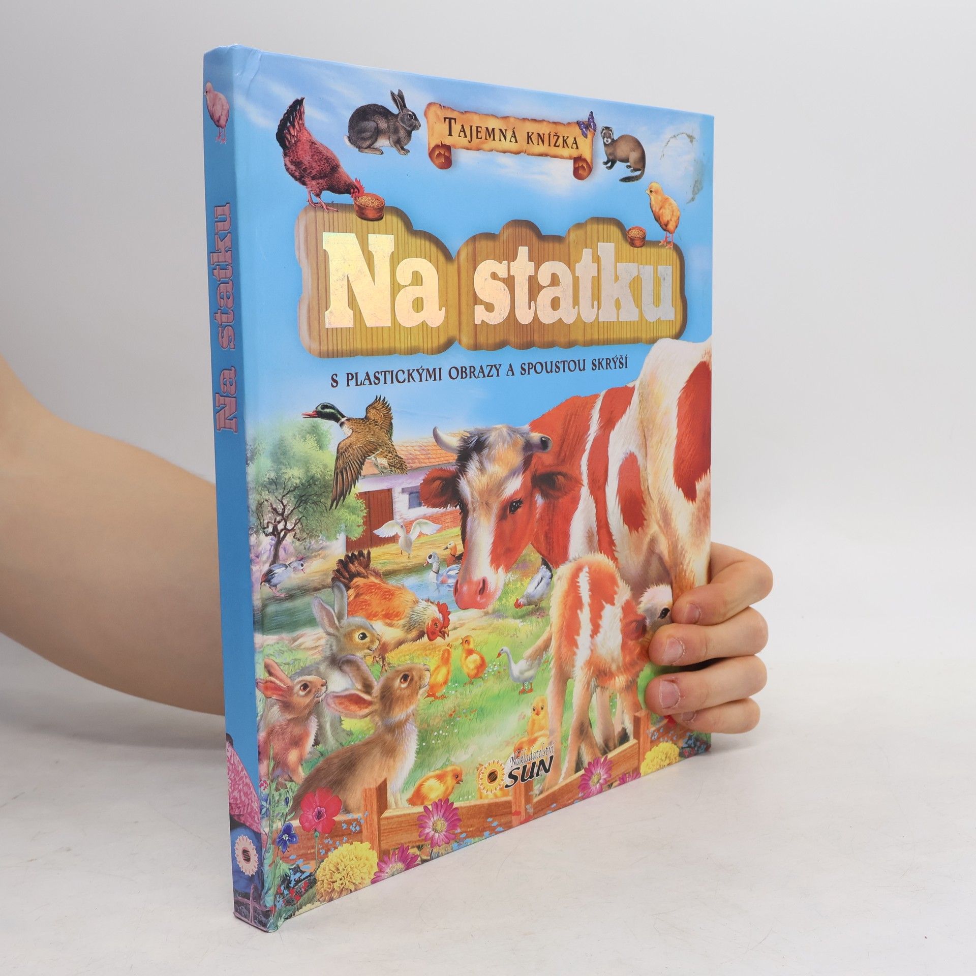 Na statku : tajemná knížka s plastickými obrazy a spoustou skrýší