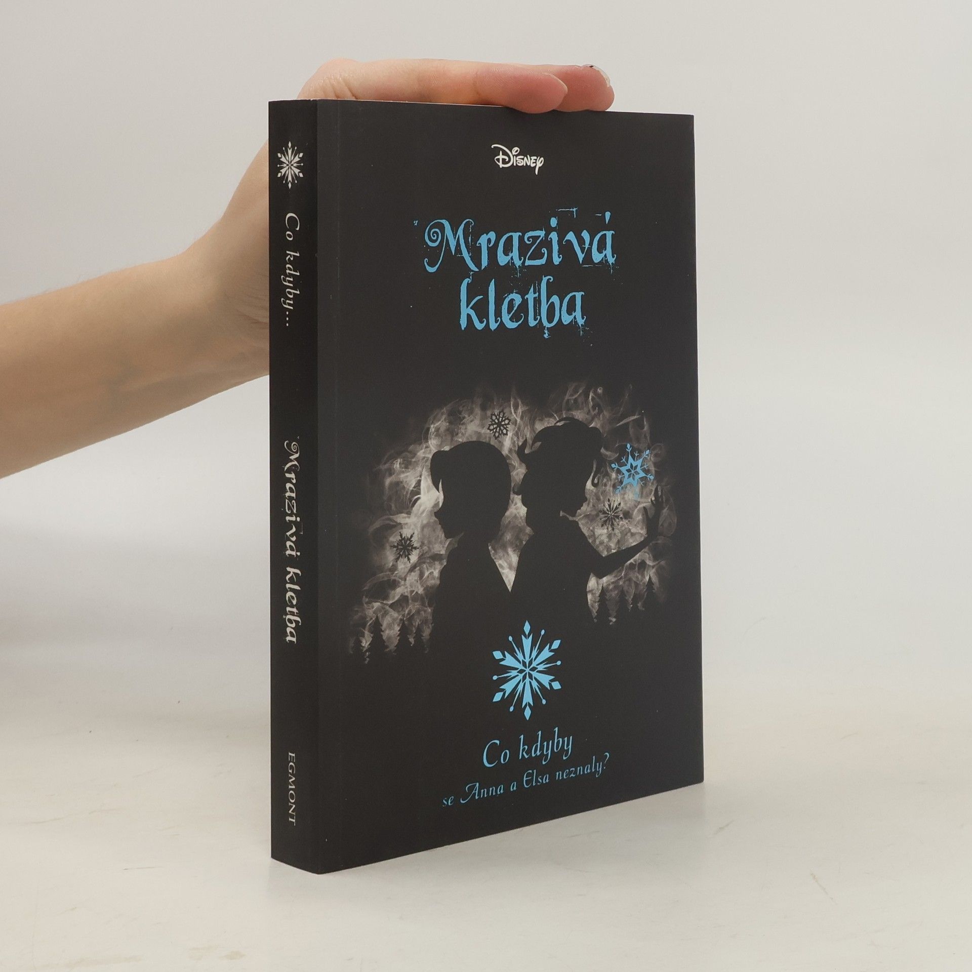 Jen Calonita Mrazivá kletba