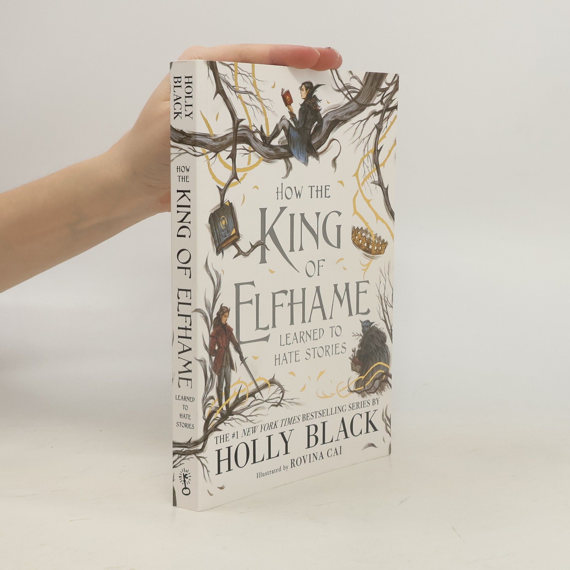 Holly Black How the King of Elfhame learned to hate stories
