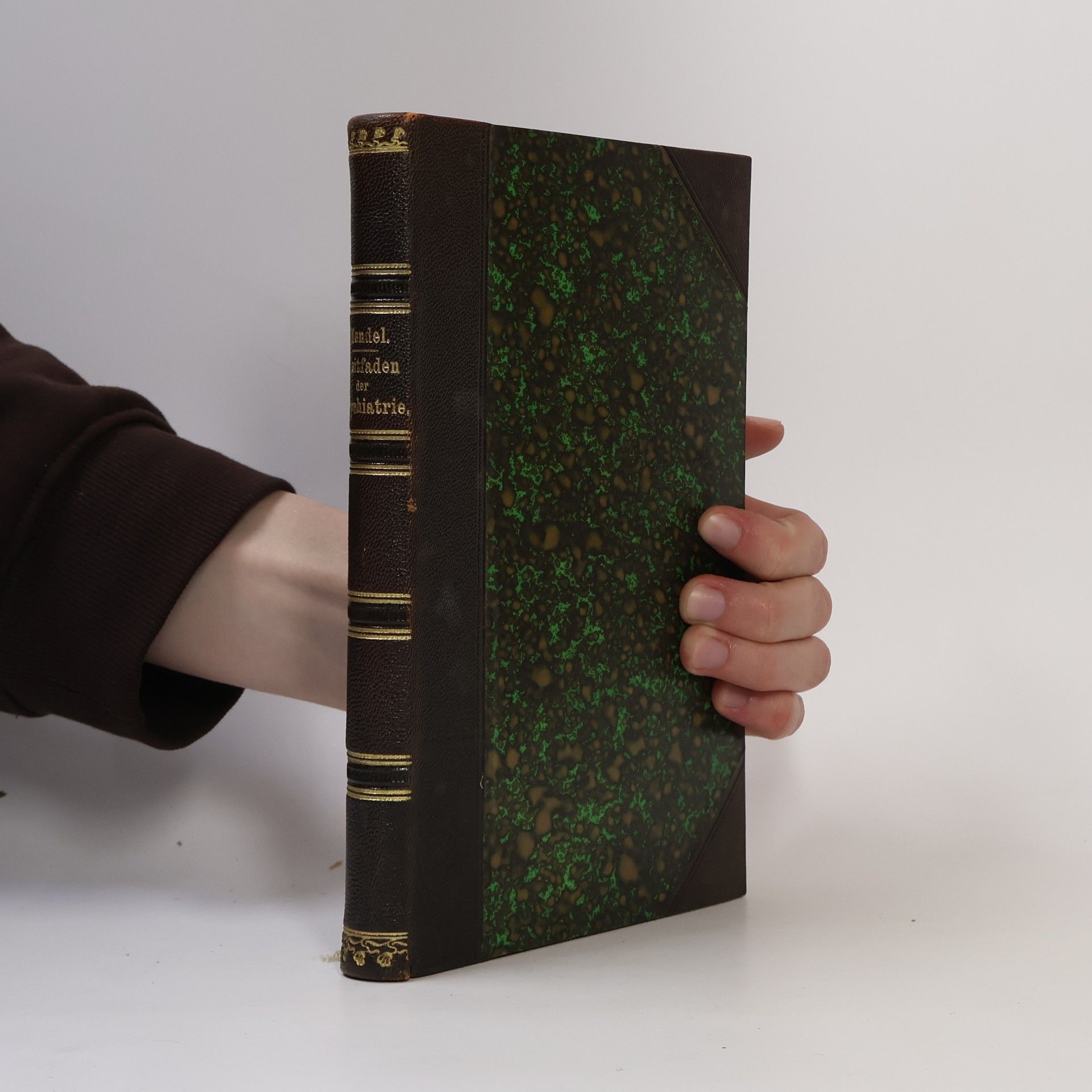 E. Mendel Leitfaden der Psychiatrie