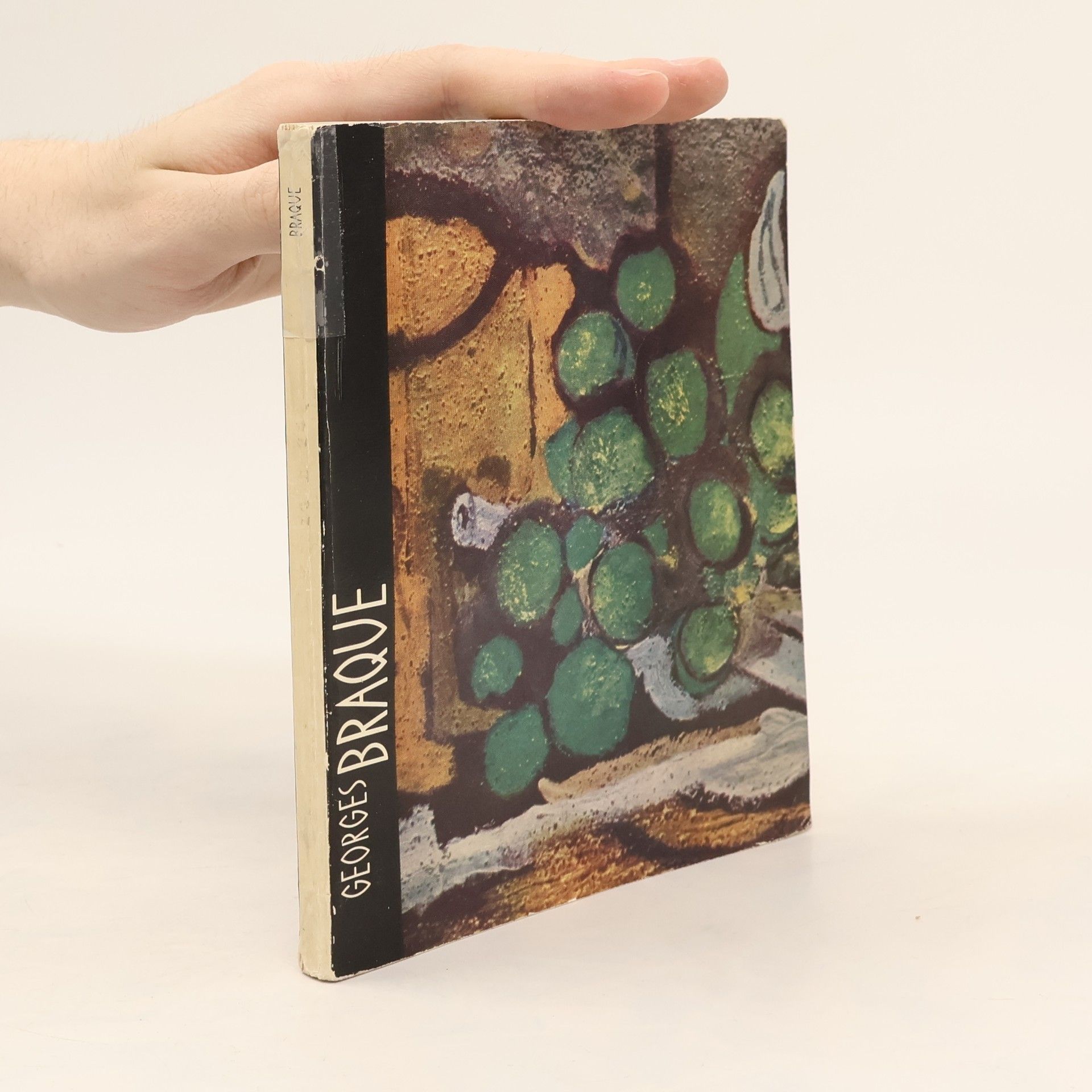 Jiří Padrta Georges Braque