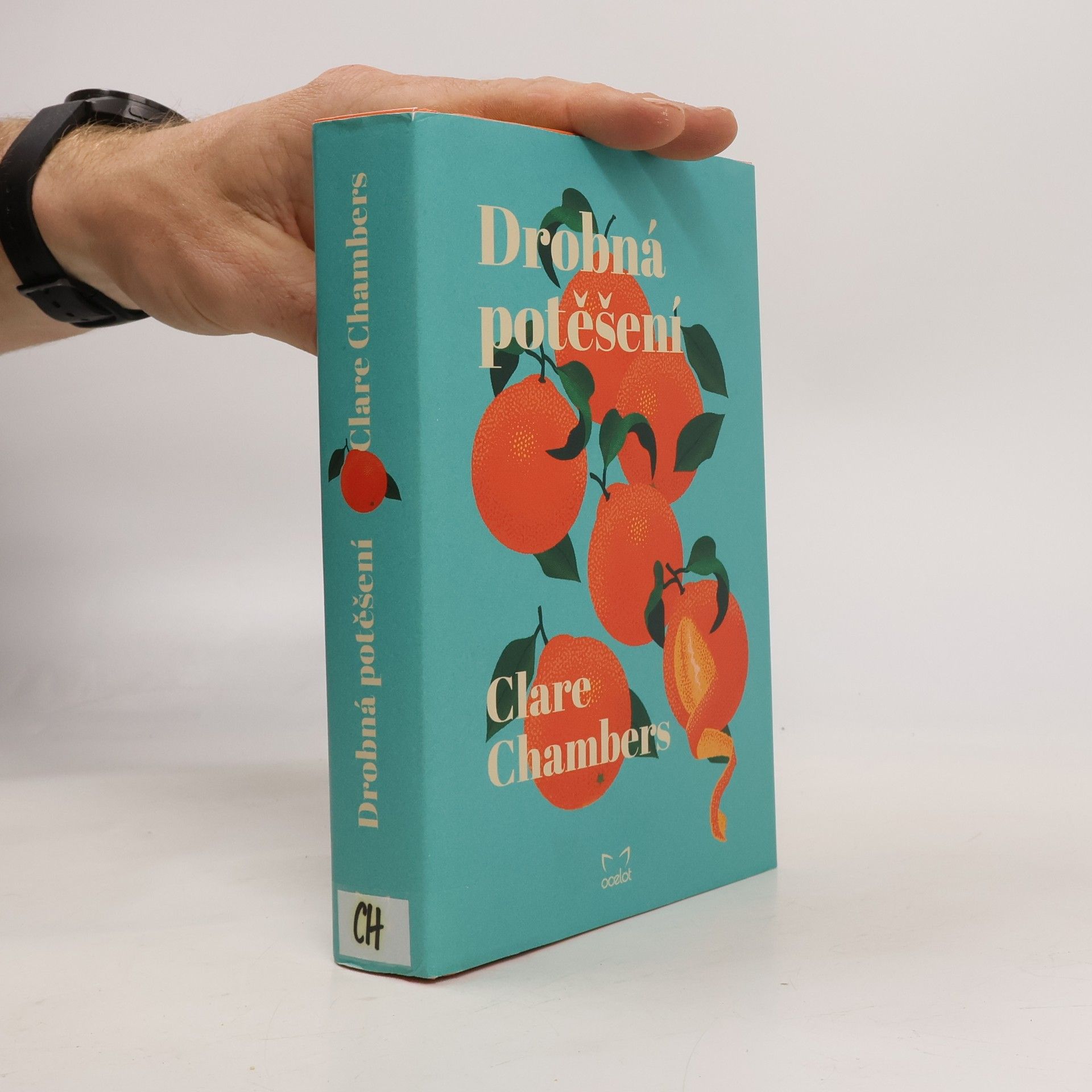 Clare Chambers Drobná potěšení