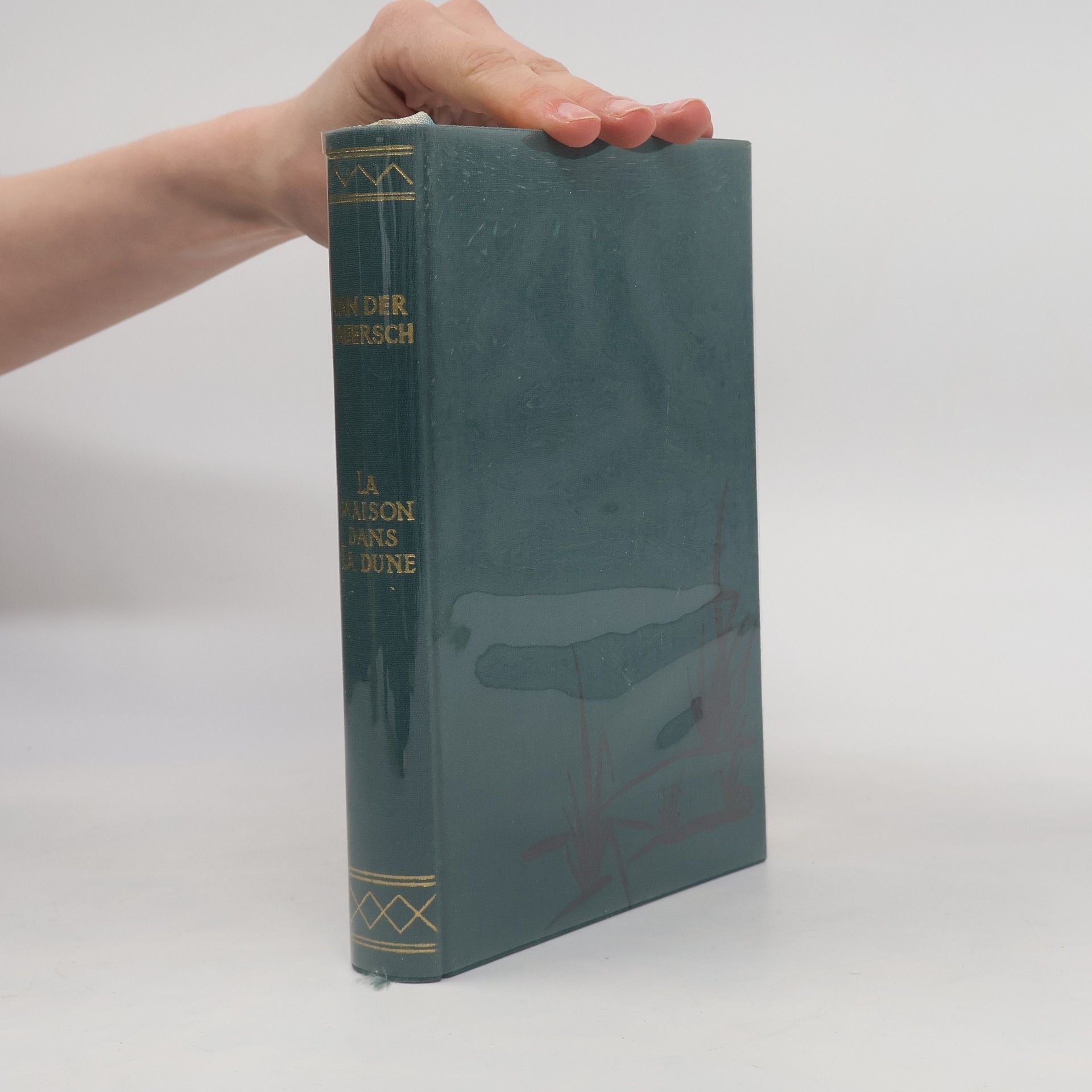 Maxence Van Der Meersch La Maison dans la Dune