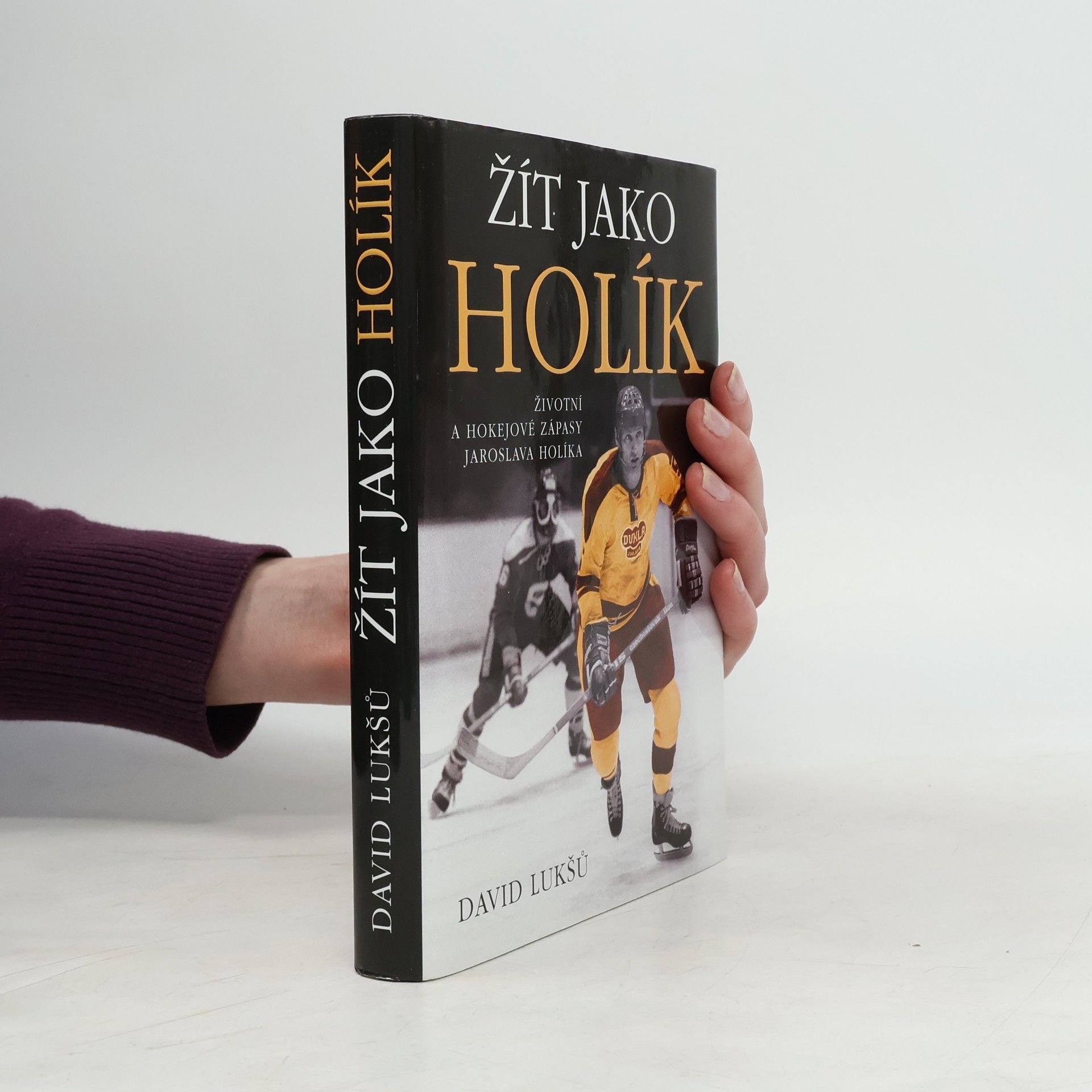 David Lukšů Žít jako Holík. Životní a hokejové zápasy Jaroslava Holíka
