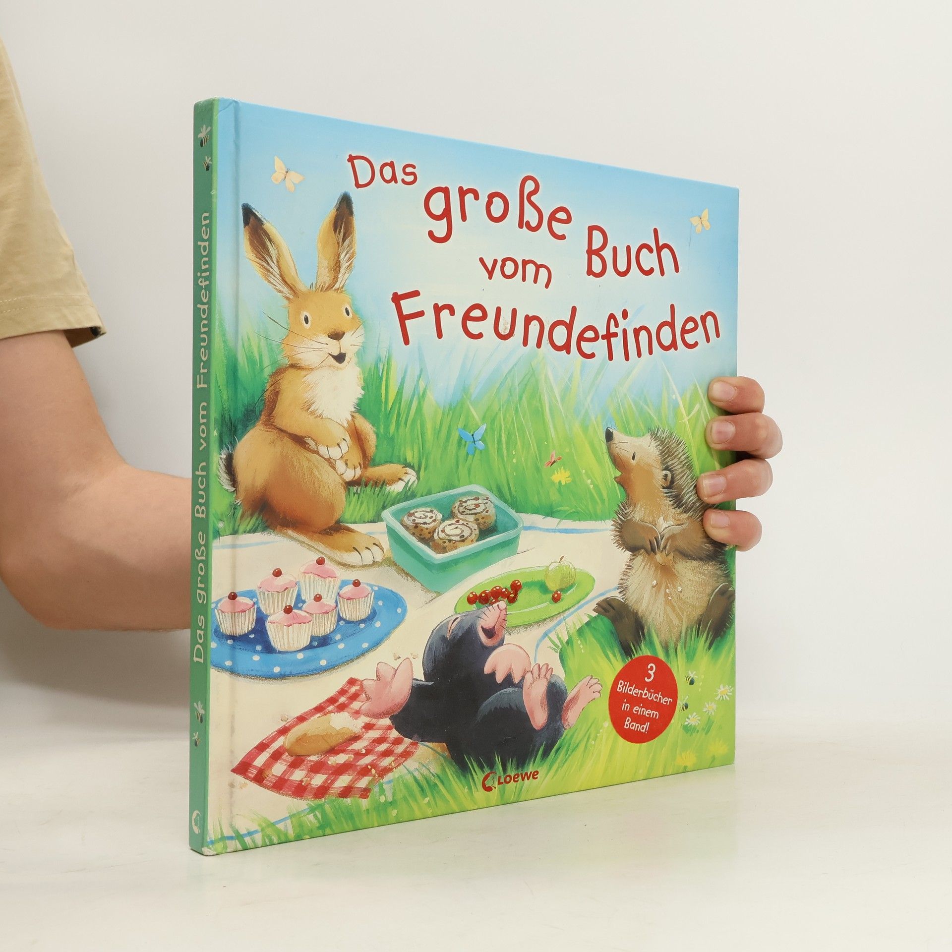 Jane Chapman Das große Buch vom Freundefinden