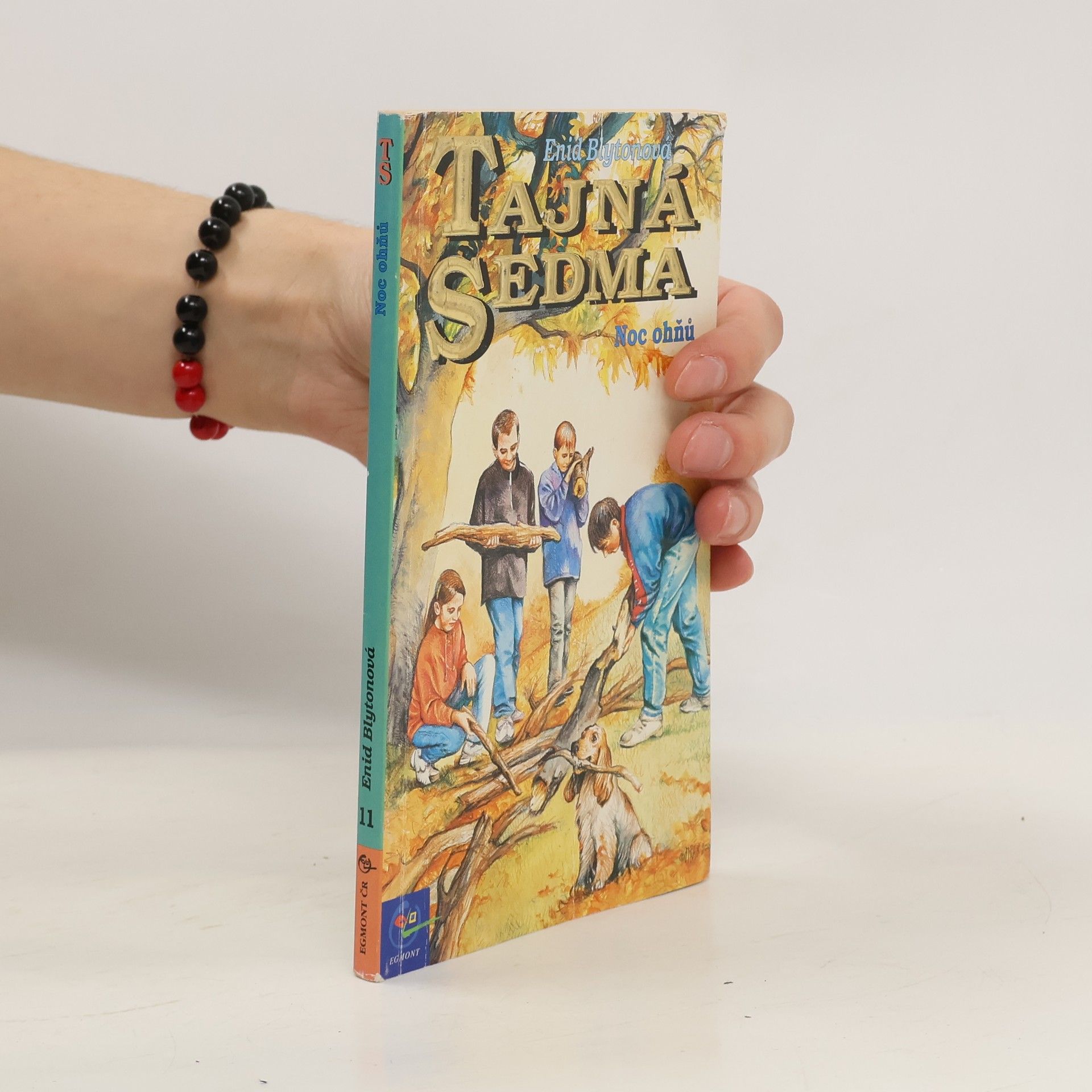 Enid Blyton Noc ohňů