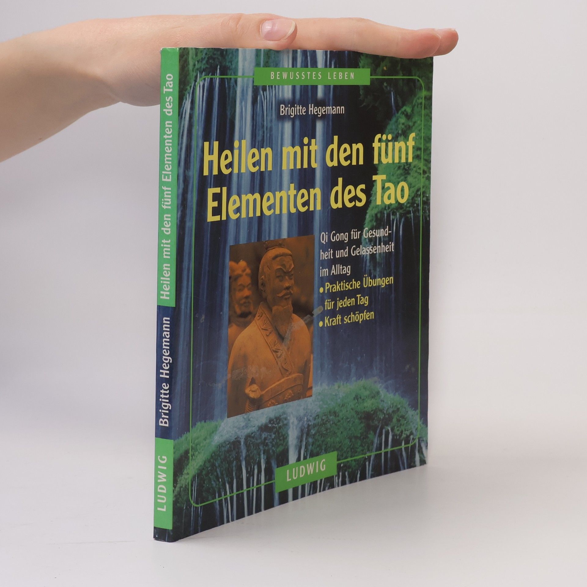 Brigitte Hegemann Heilen mit den fünf Elementen des Tao