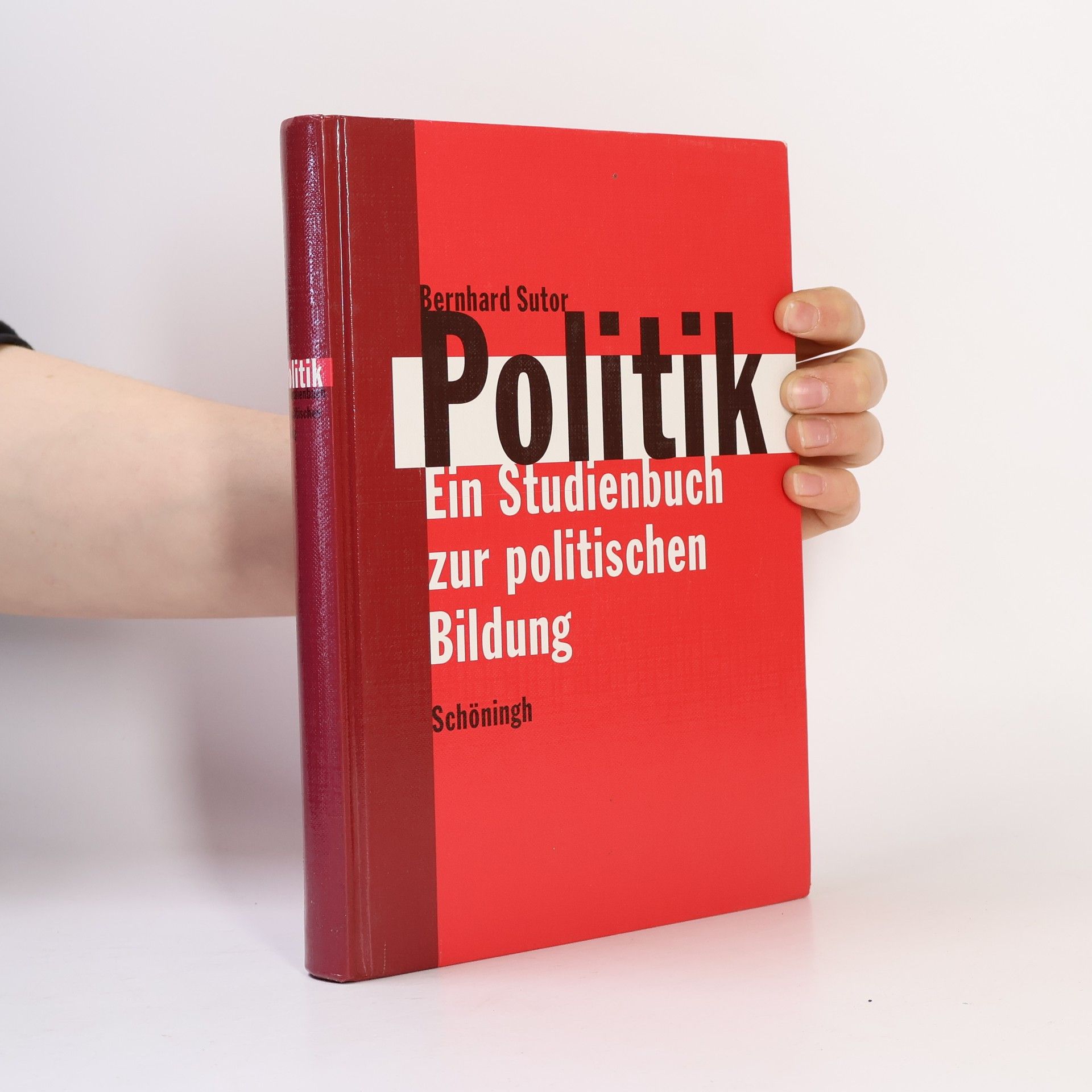 Bernhard Sutor Politik