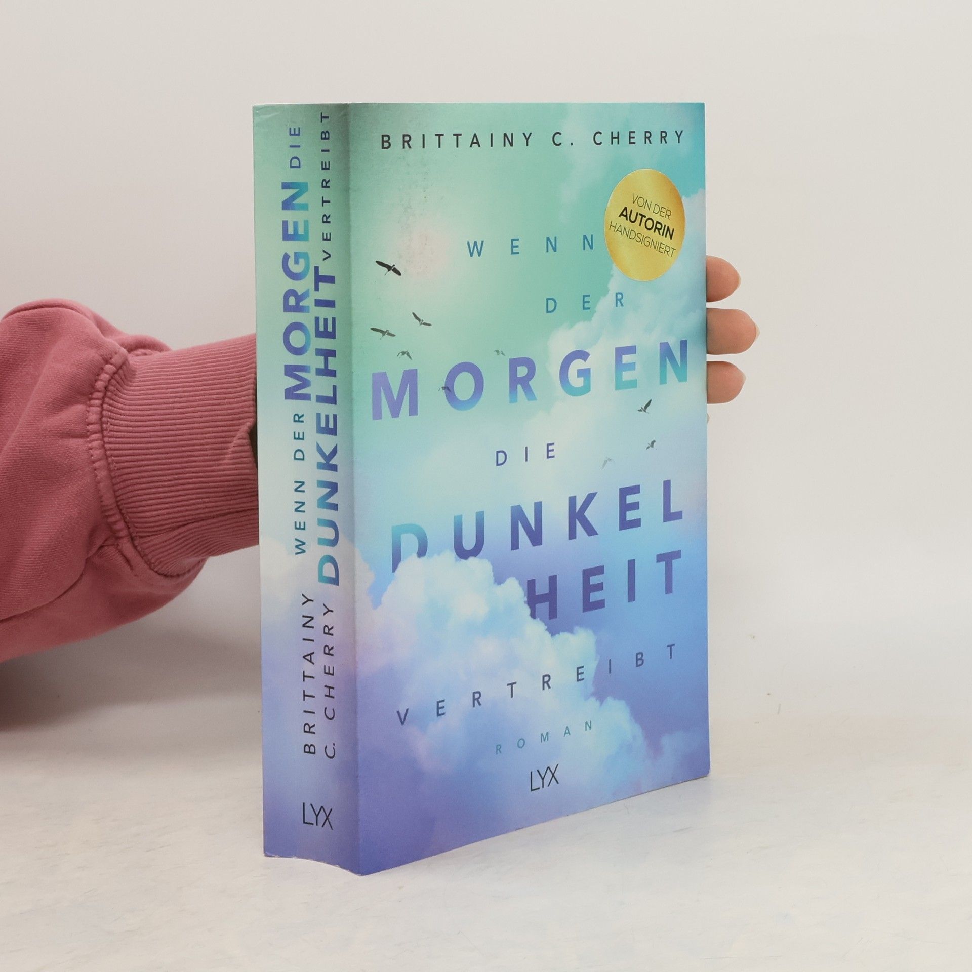 Brittainy C. Cherry Wenn der Morgen die Dunkelheit vertreibt