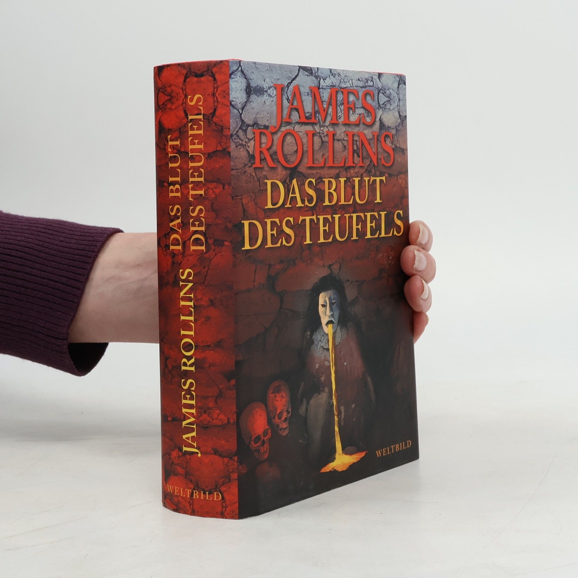 James Rollins Das Blut des Teufels