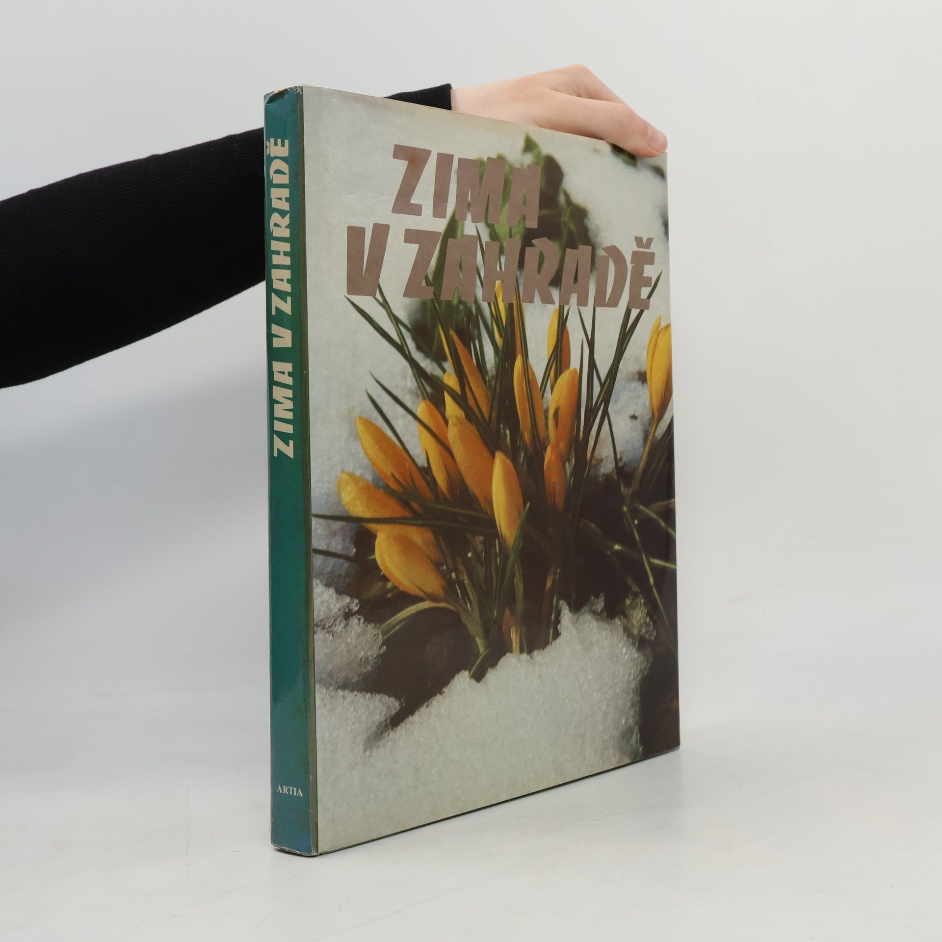 Autores varios Zima v zahradě