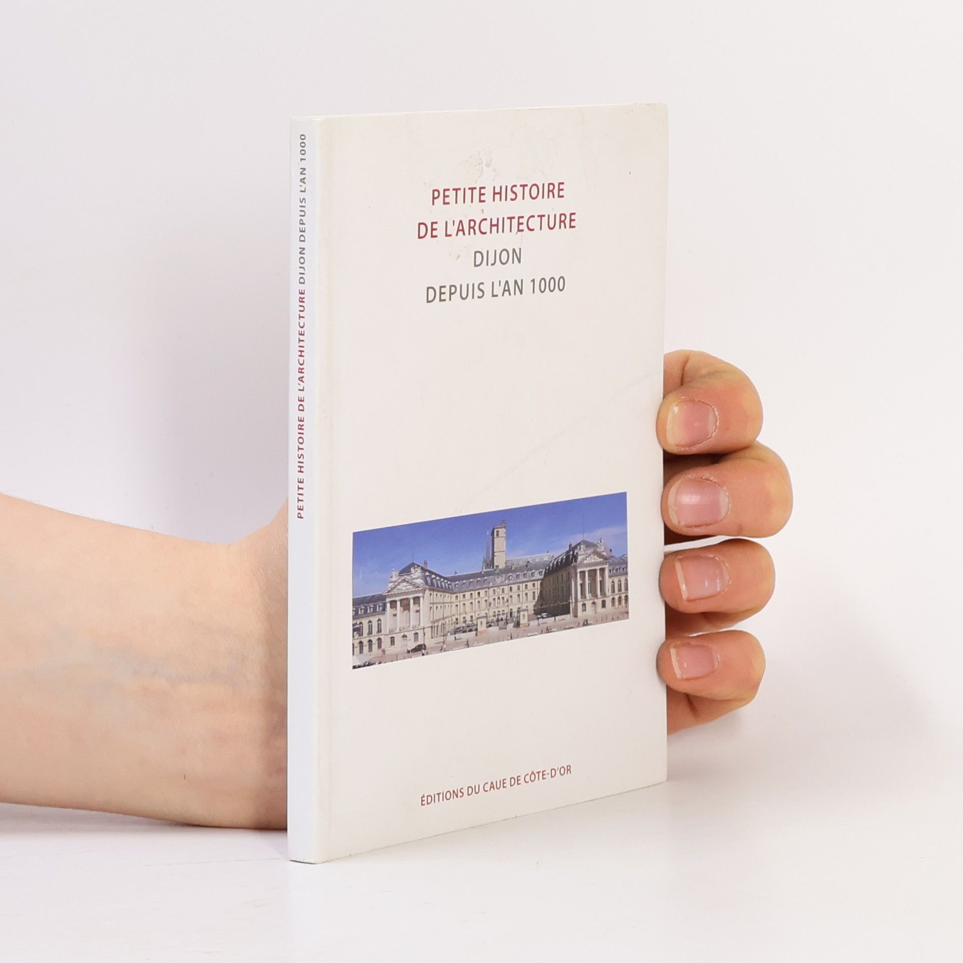 Conseil d'architecture, d'urbanisme et de l'environnement (Côte-d'Or). Petite histoire de l'architecture, Dijon depuis l'an 1000