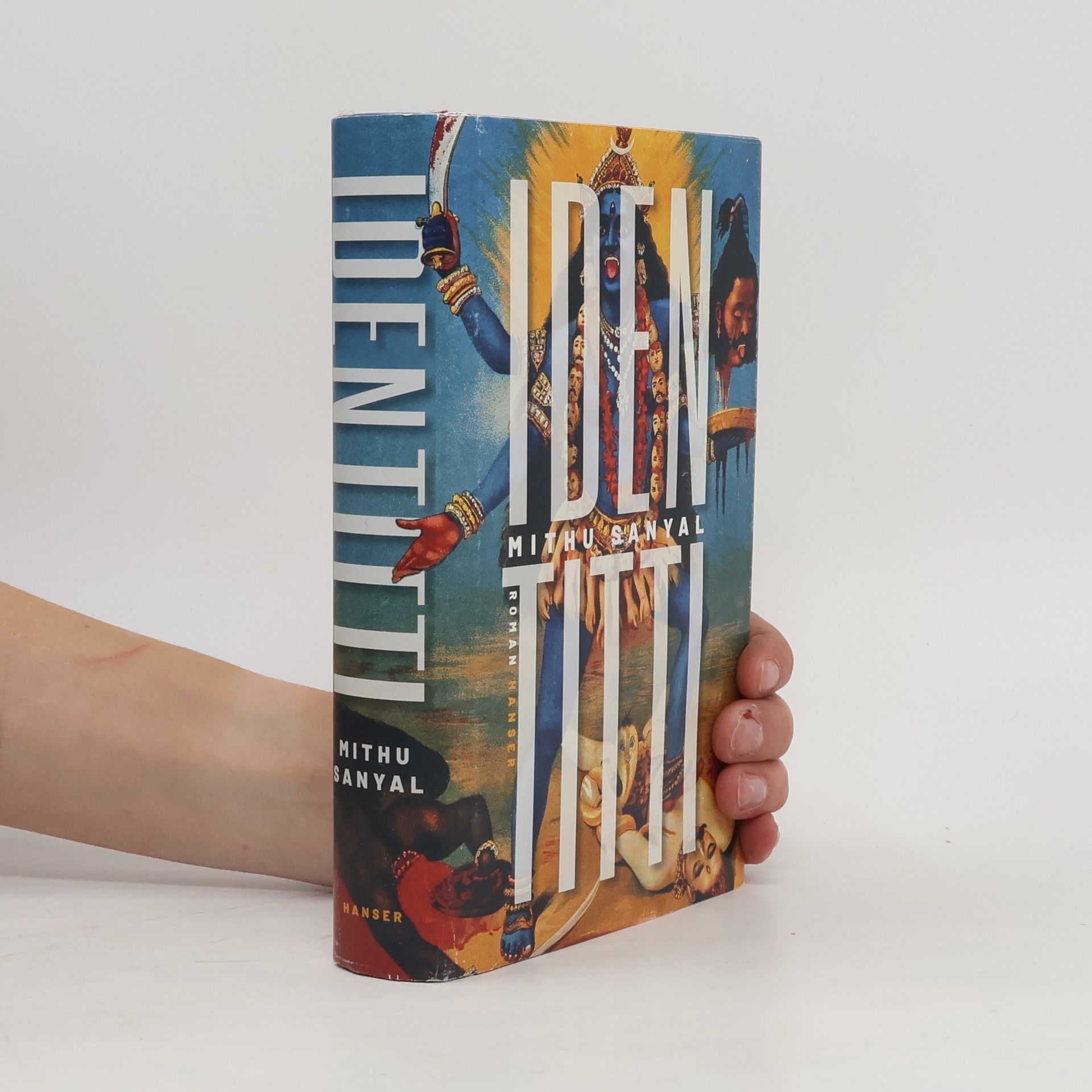 Mithu Sanyal Identitti : Roman