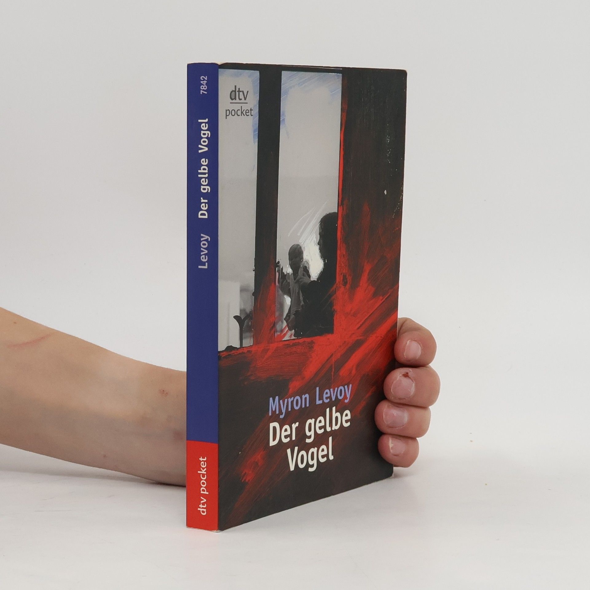 Myron Levoy Der gelbe Vogel