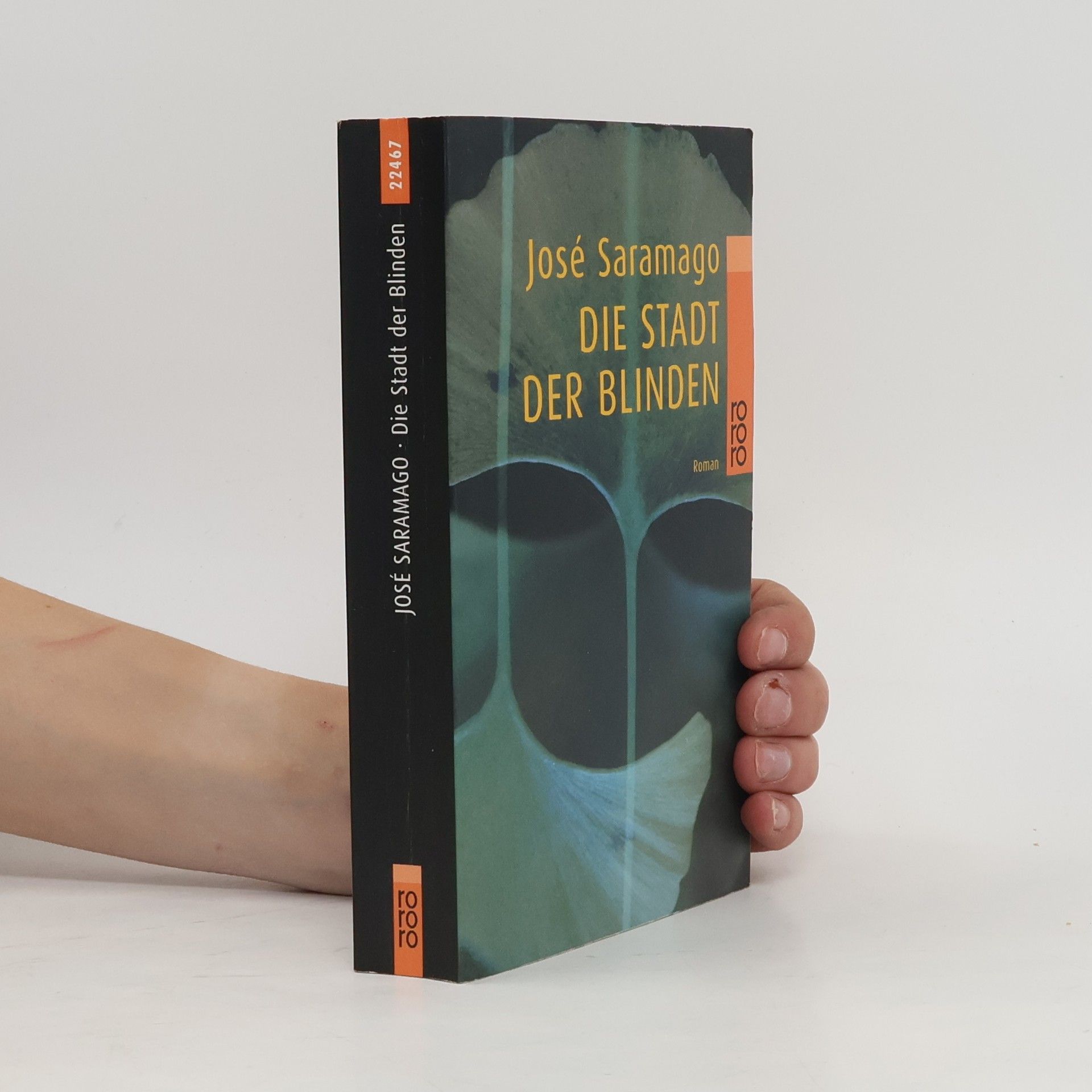 José Saramago Die Stadt der Blinden