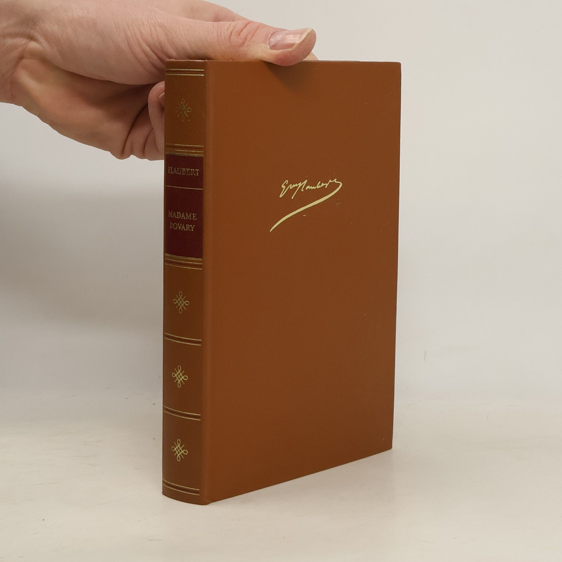 Gustave Flaubert Madame Bovary