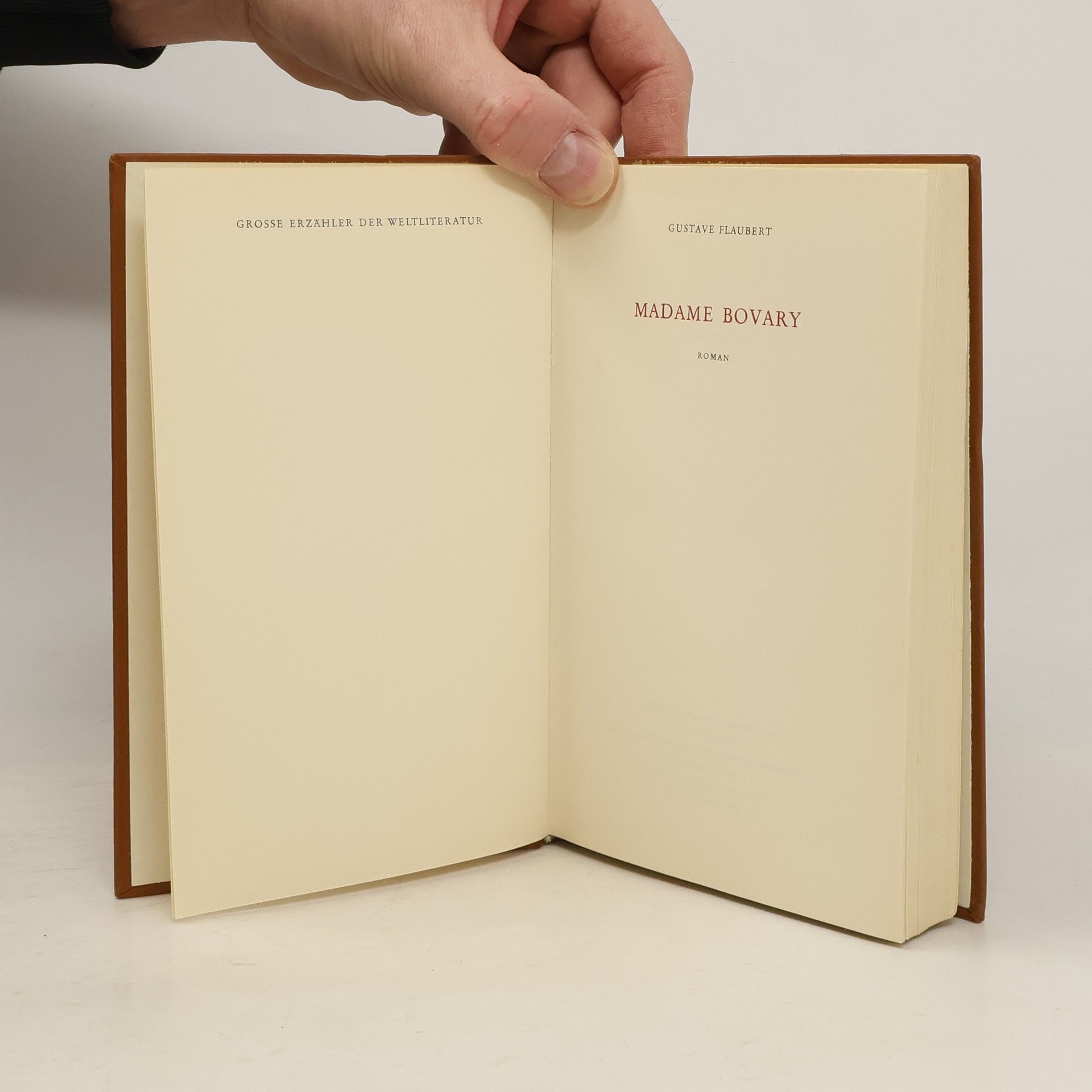 Gustave Flaubert Madame Bovary